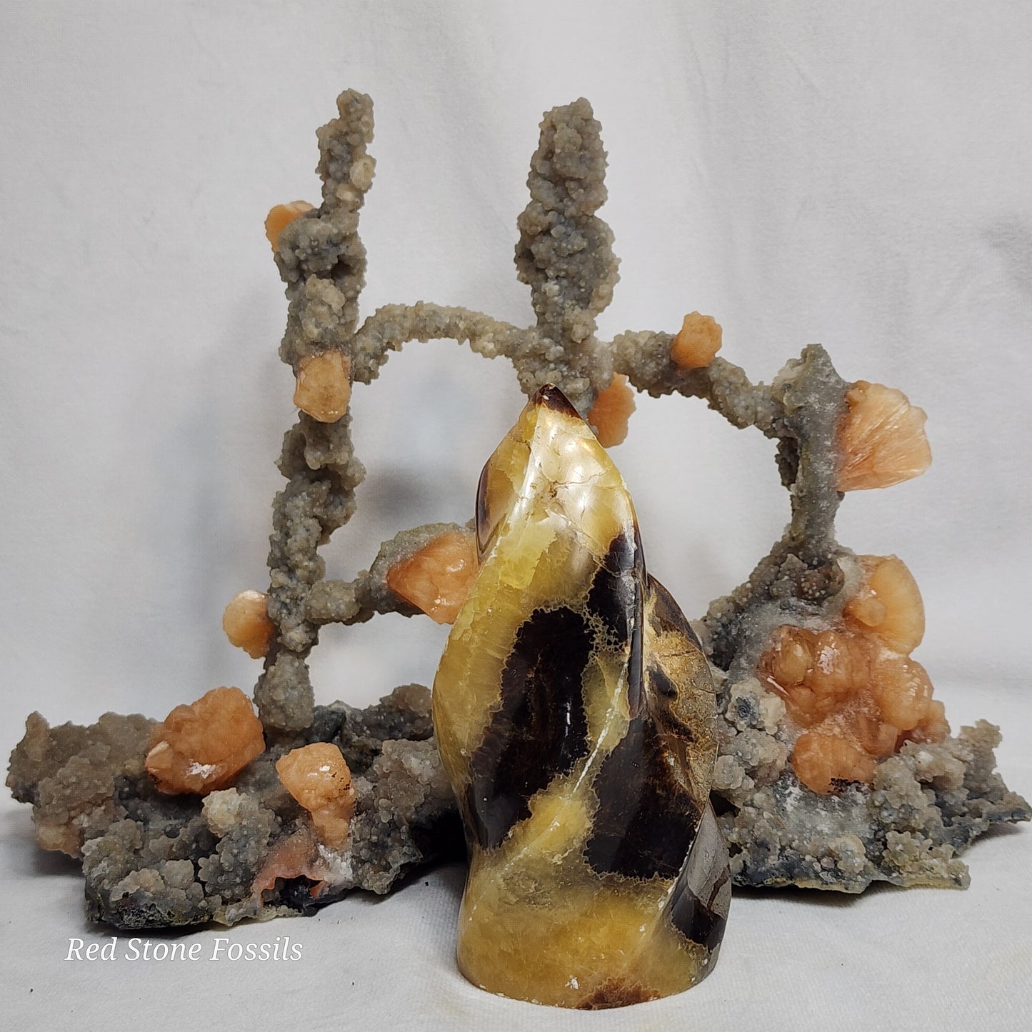 Fabulous Septarian Flame