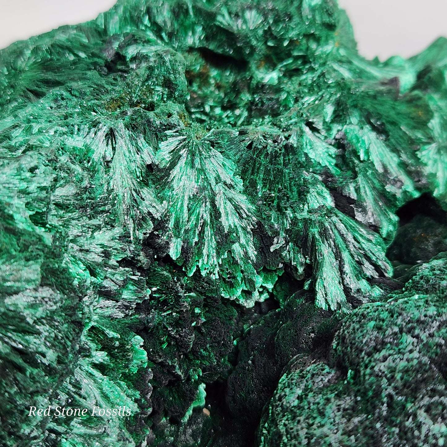 Fabulous Fibrous Malachite