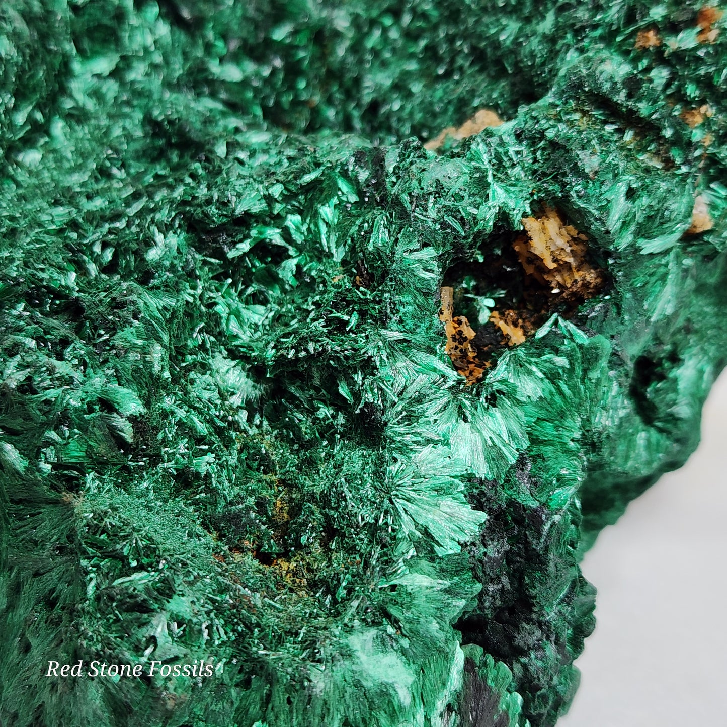 Fabulous Fibrous Malachite