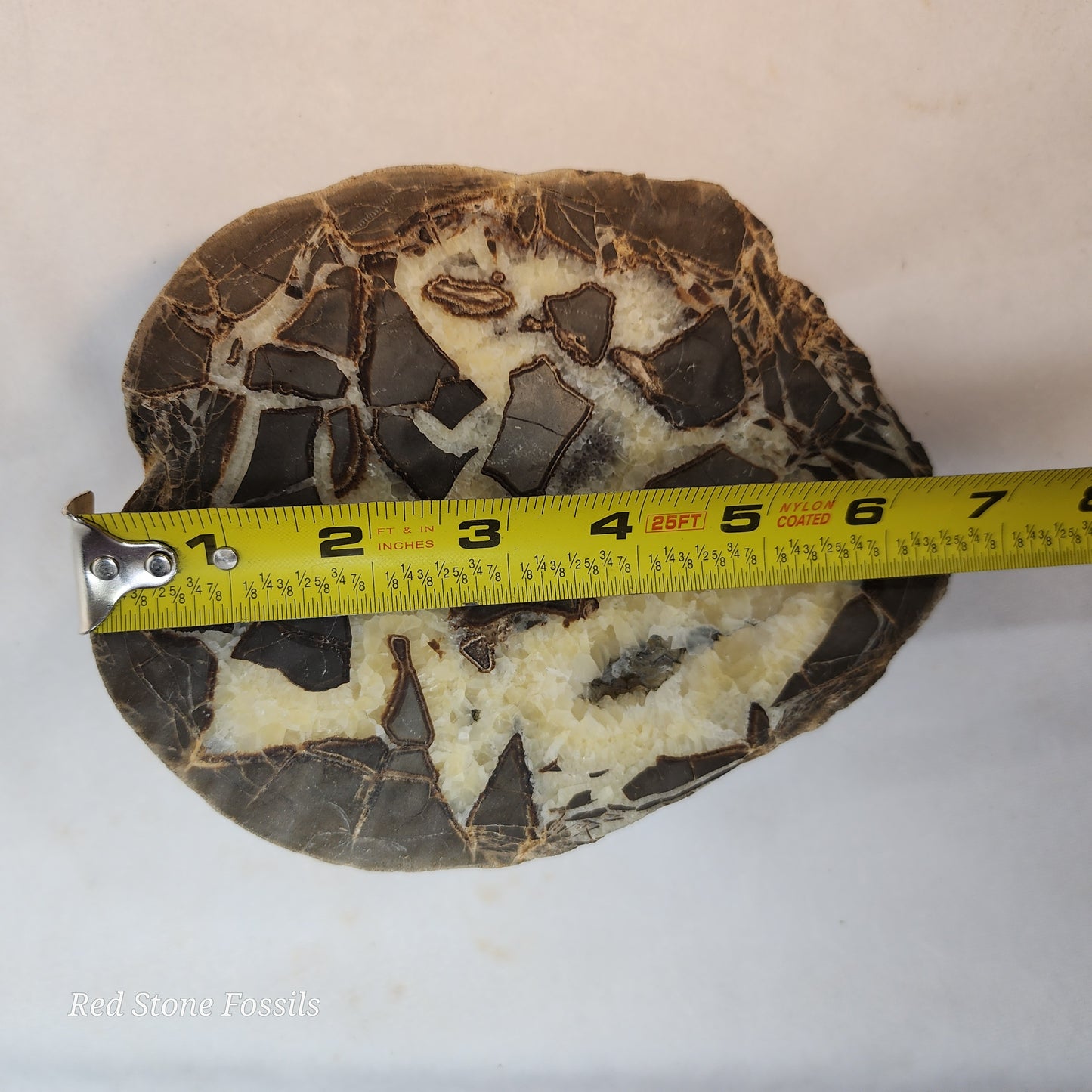 Crystal Cavity Septarian Nodule