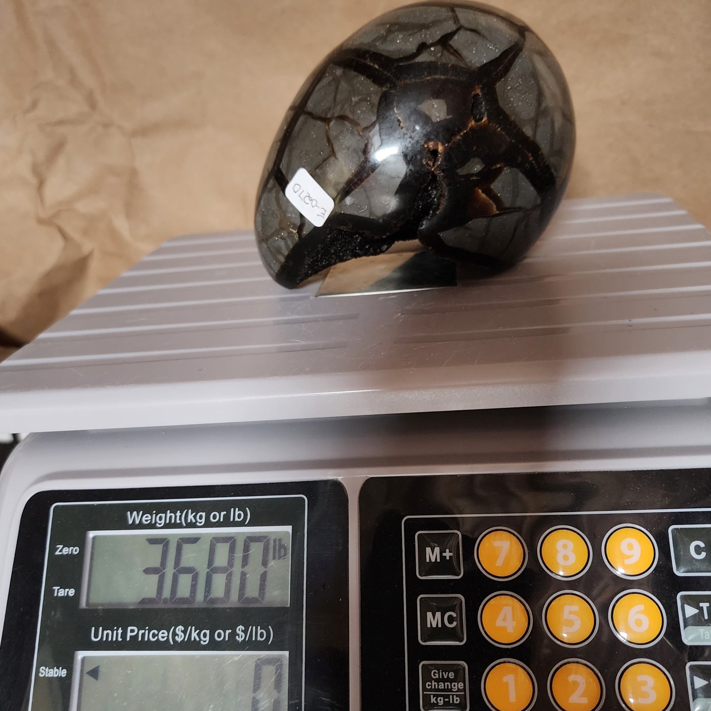 Large Septarian Egg