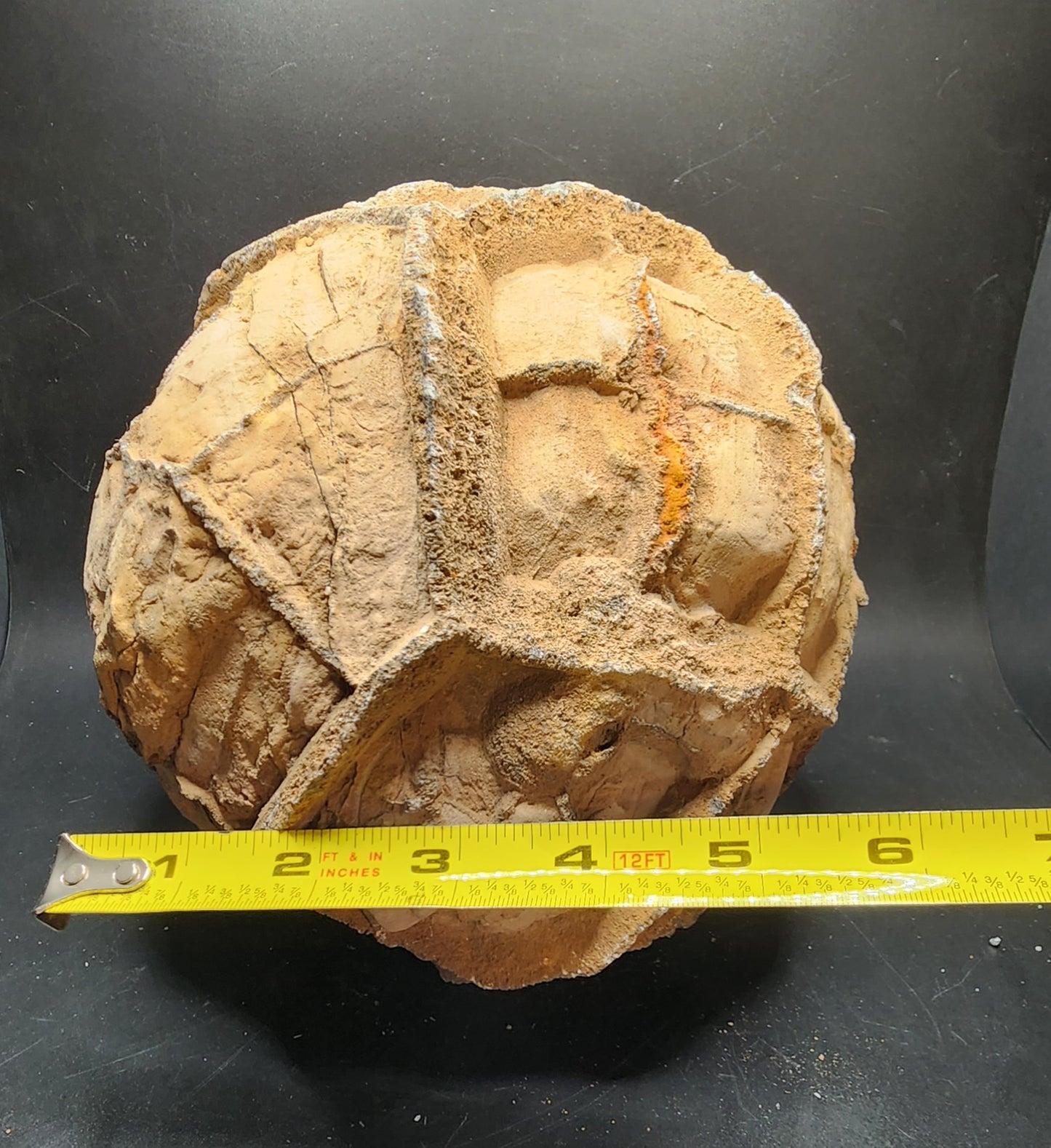 Raw Septarian Nodule