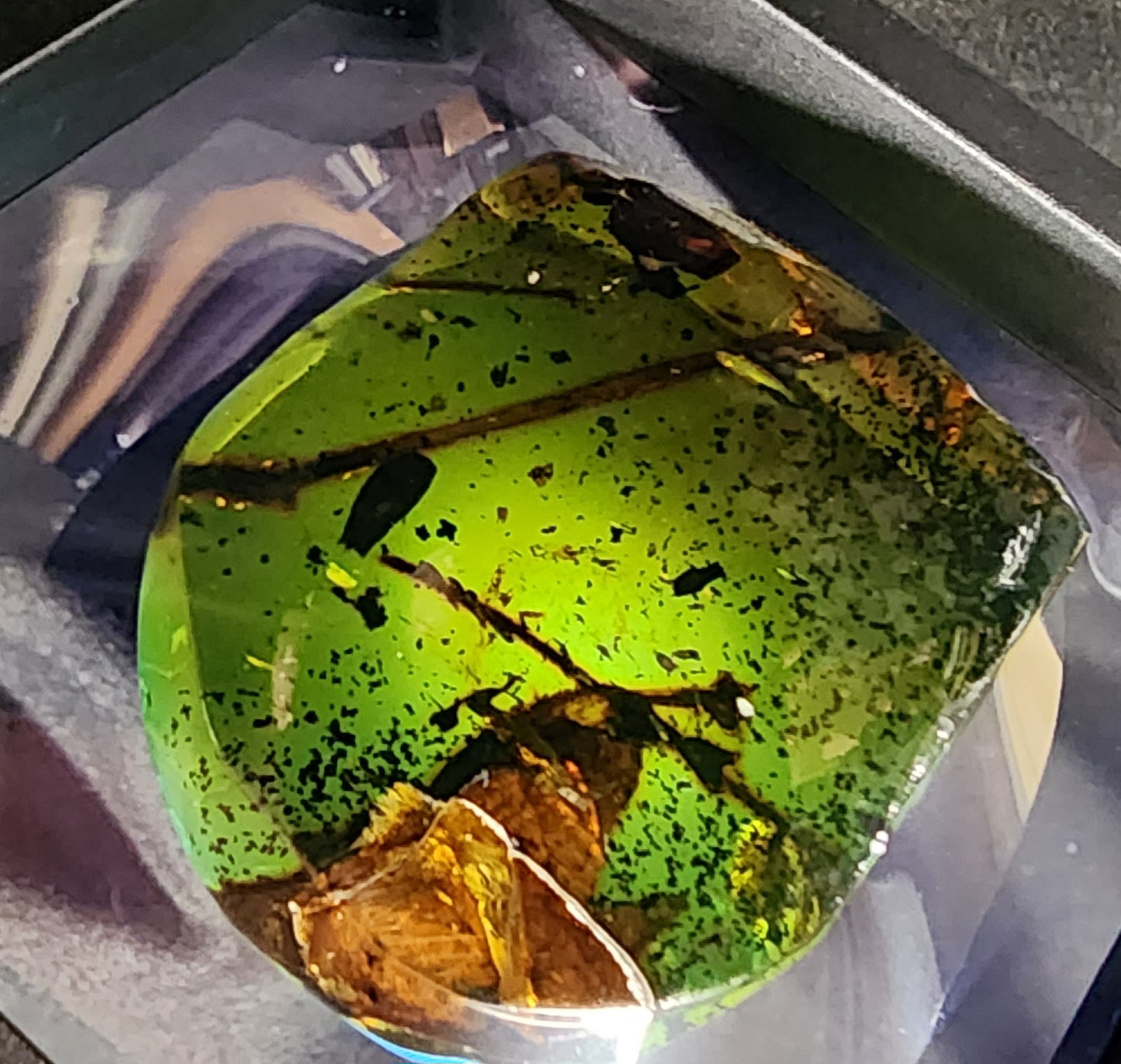 Amber with Inclusions