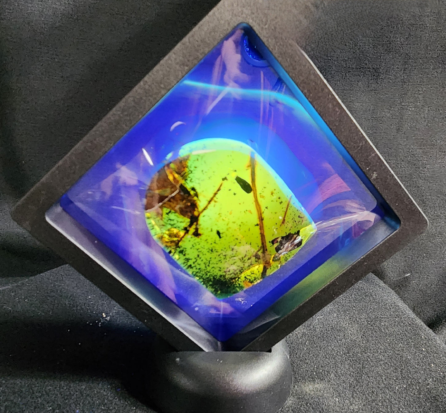 Amber with Inclusions