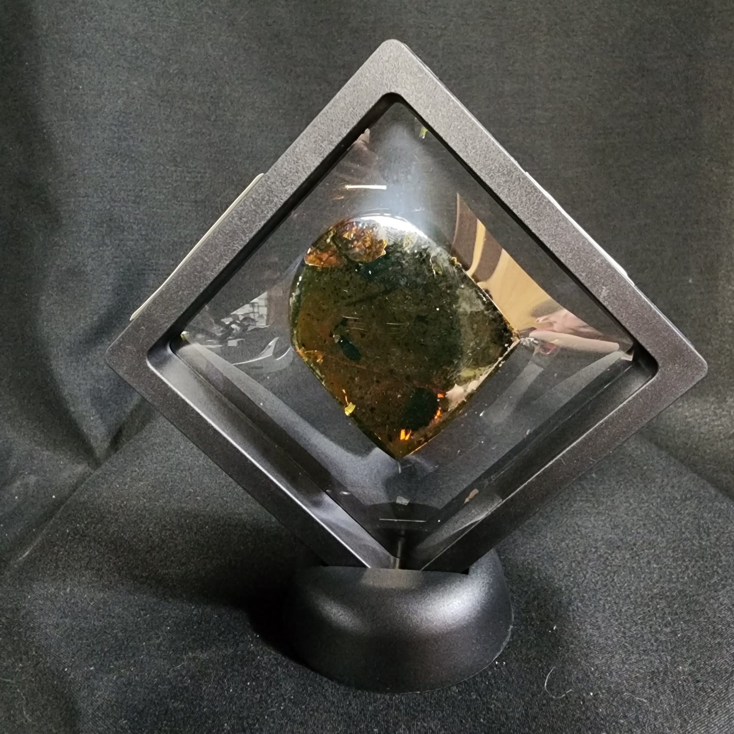 Amber with Inclusions