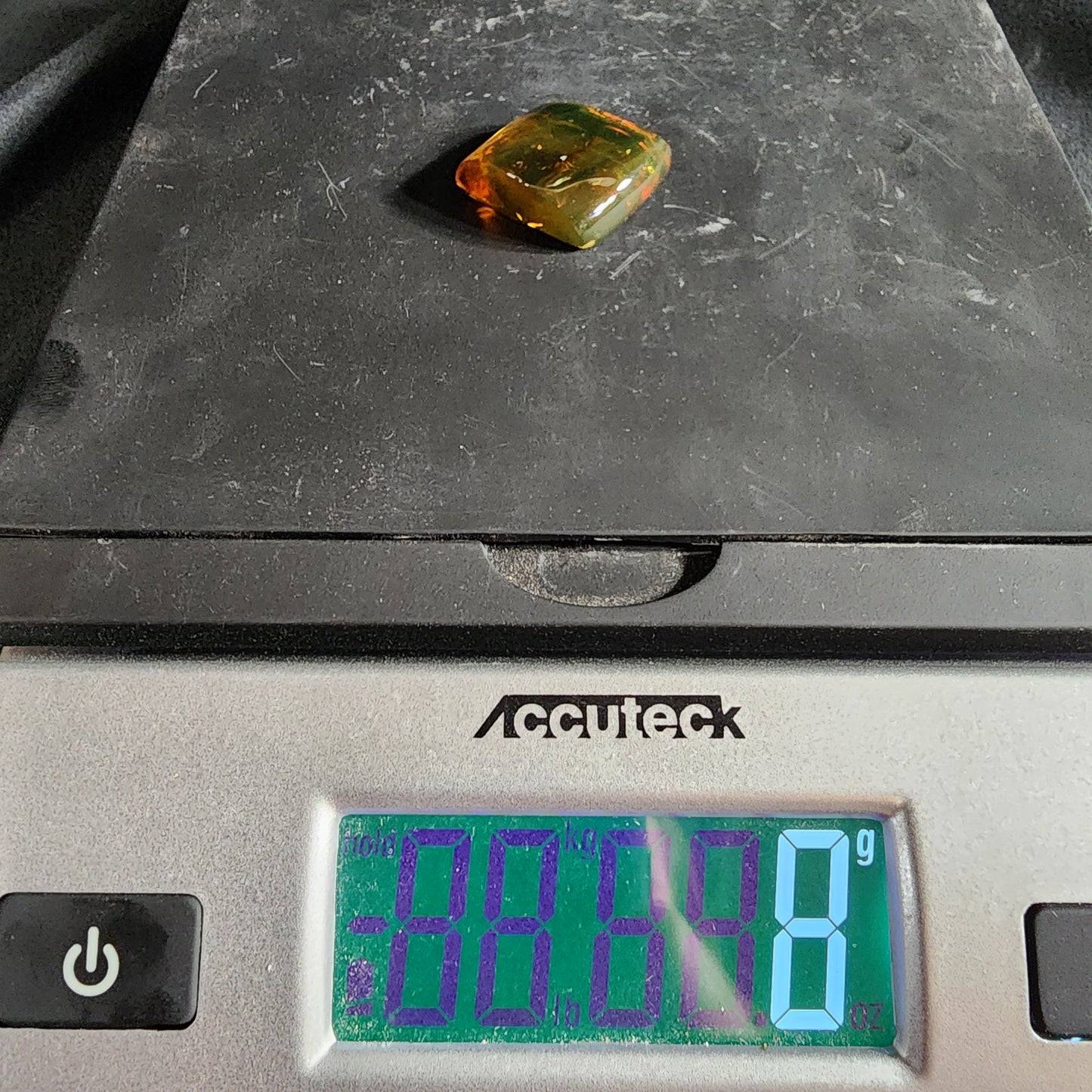 Amber with Spider Inclusion