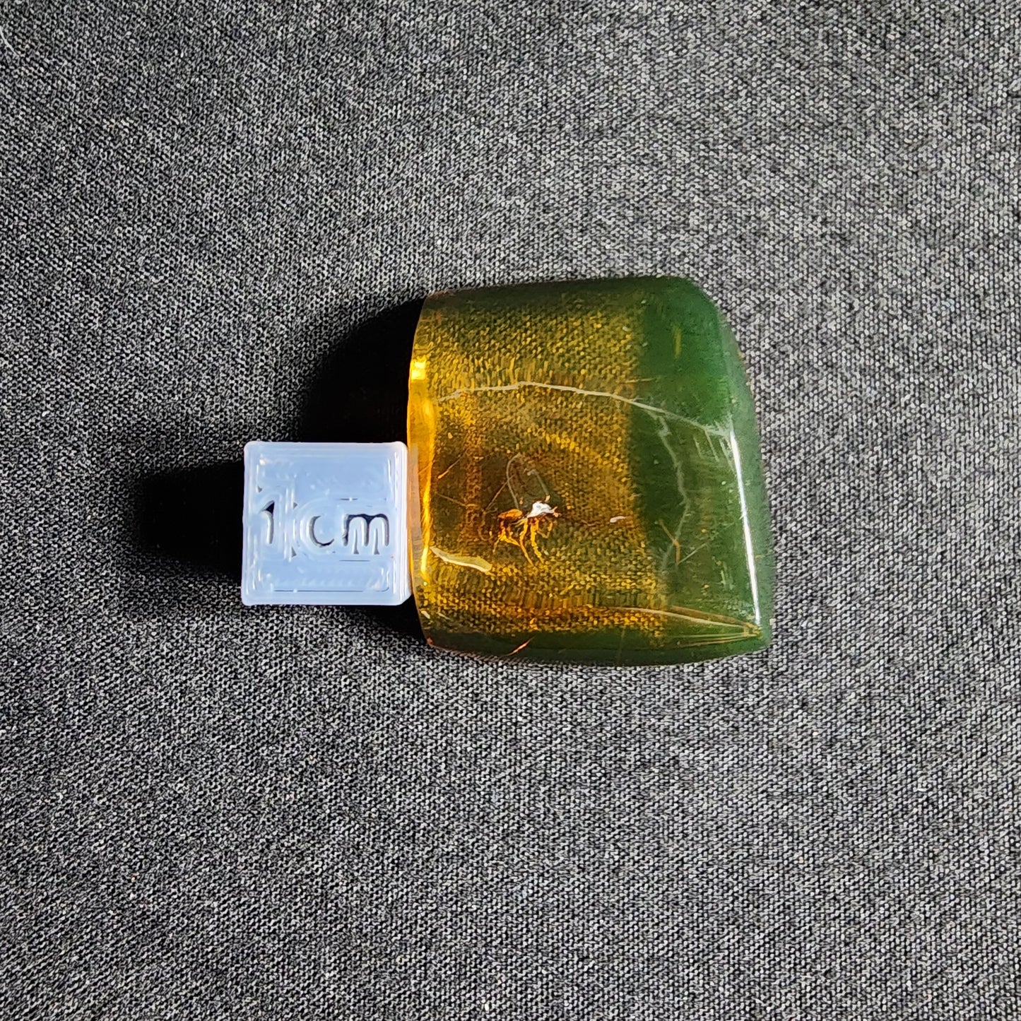 Amber with Spider Inclusion