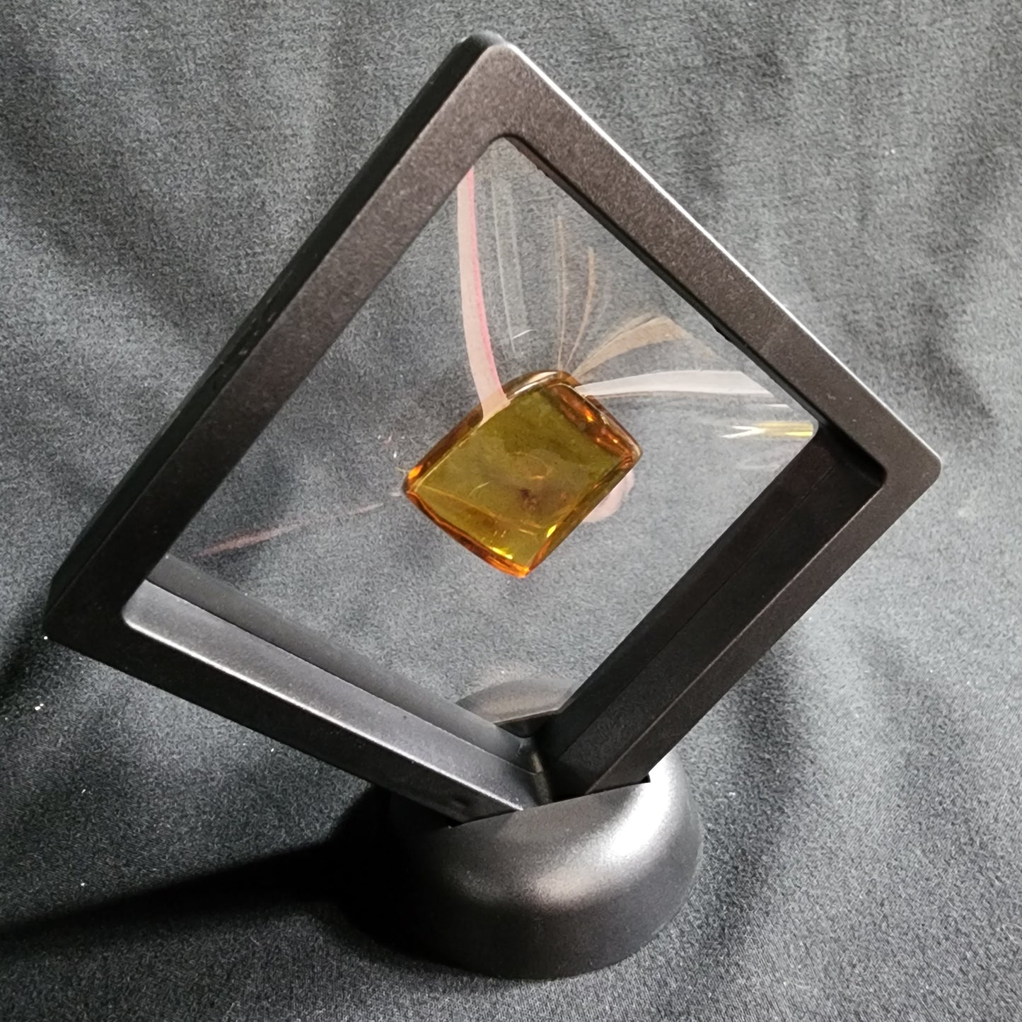 Amber with Spider Inclusion