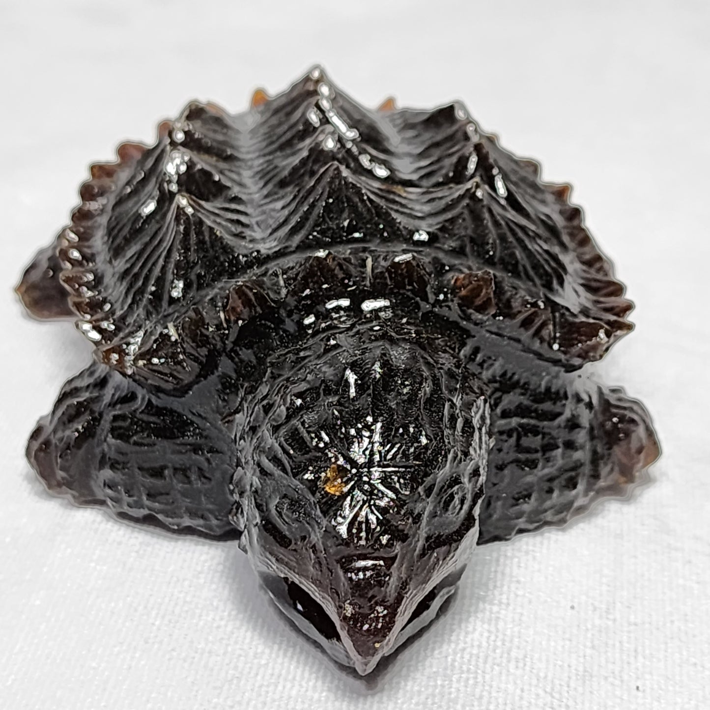 Snazzy Sculpted Snapping Turtle