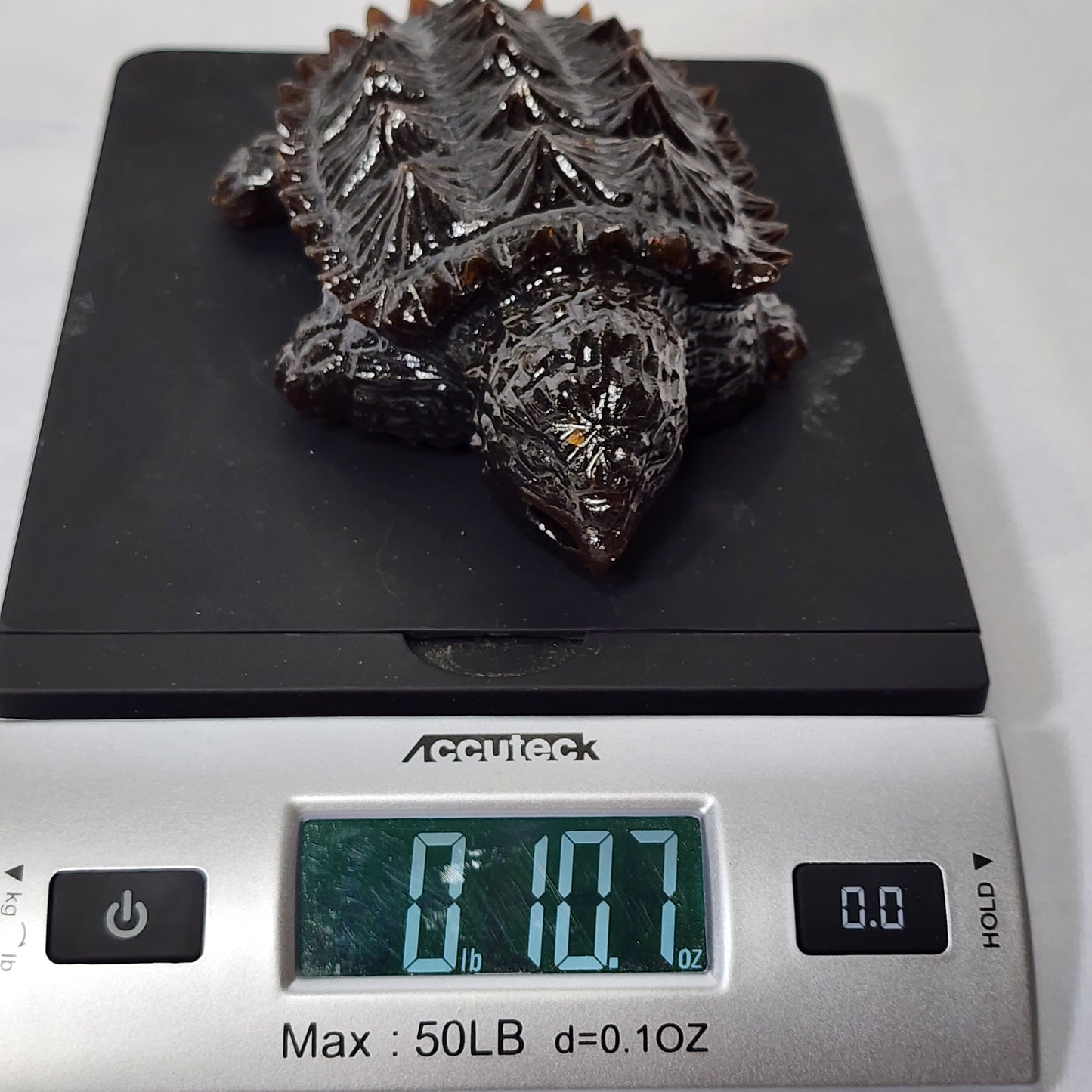 Snazzy Sculpted Snapping Turtle