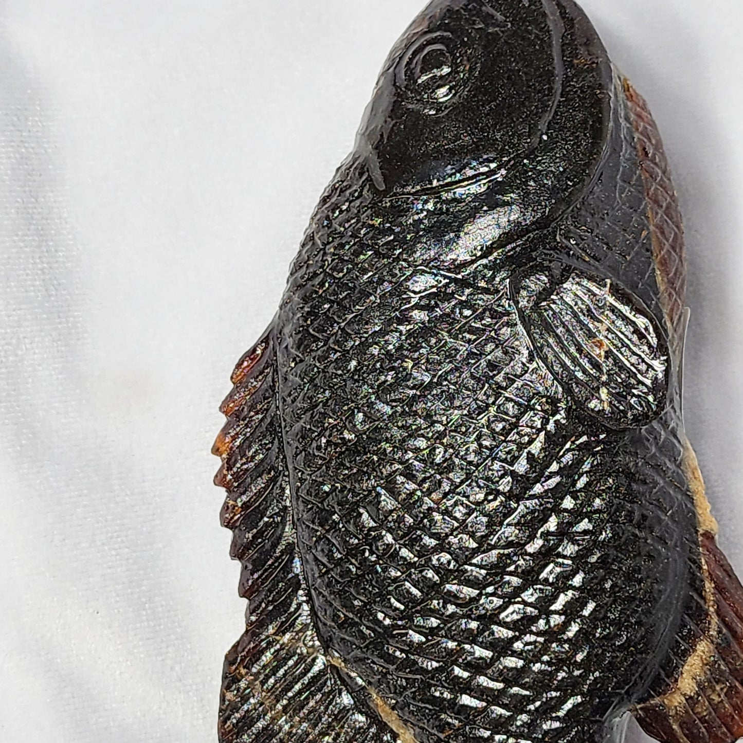 Fancy Amber Fish