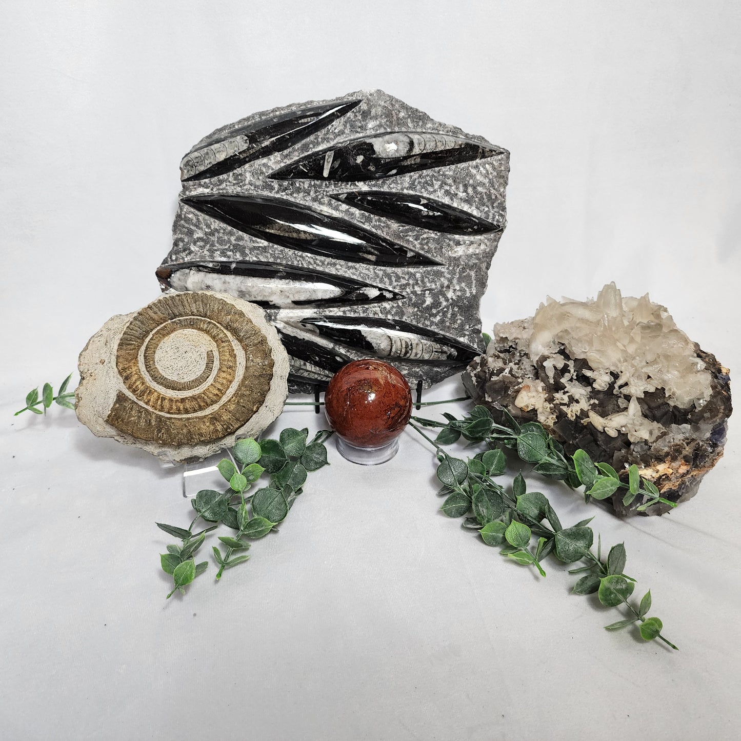 Delightful Dogtooth Calcite