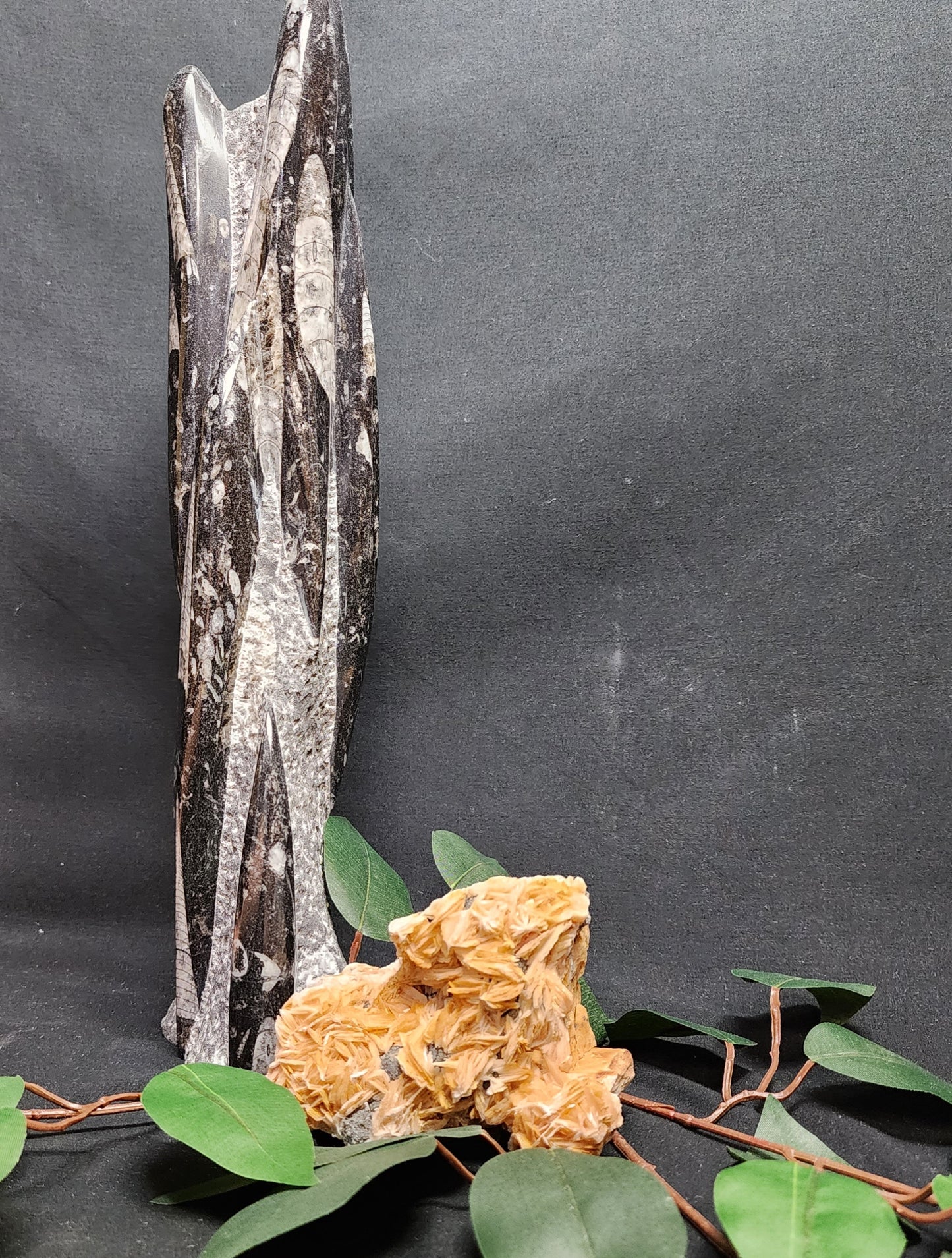 Bladed Barite with Galena