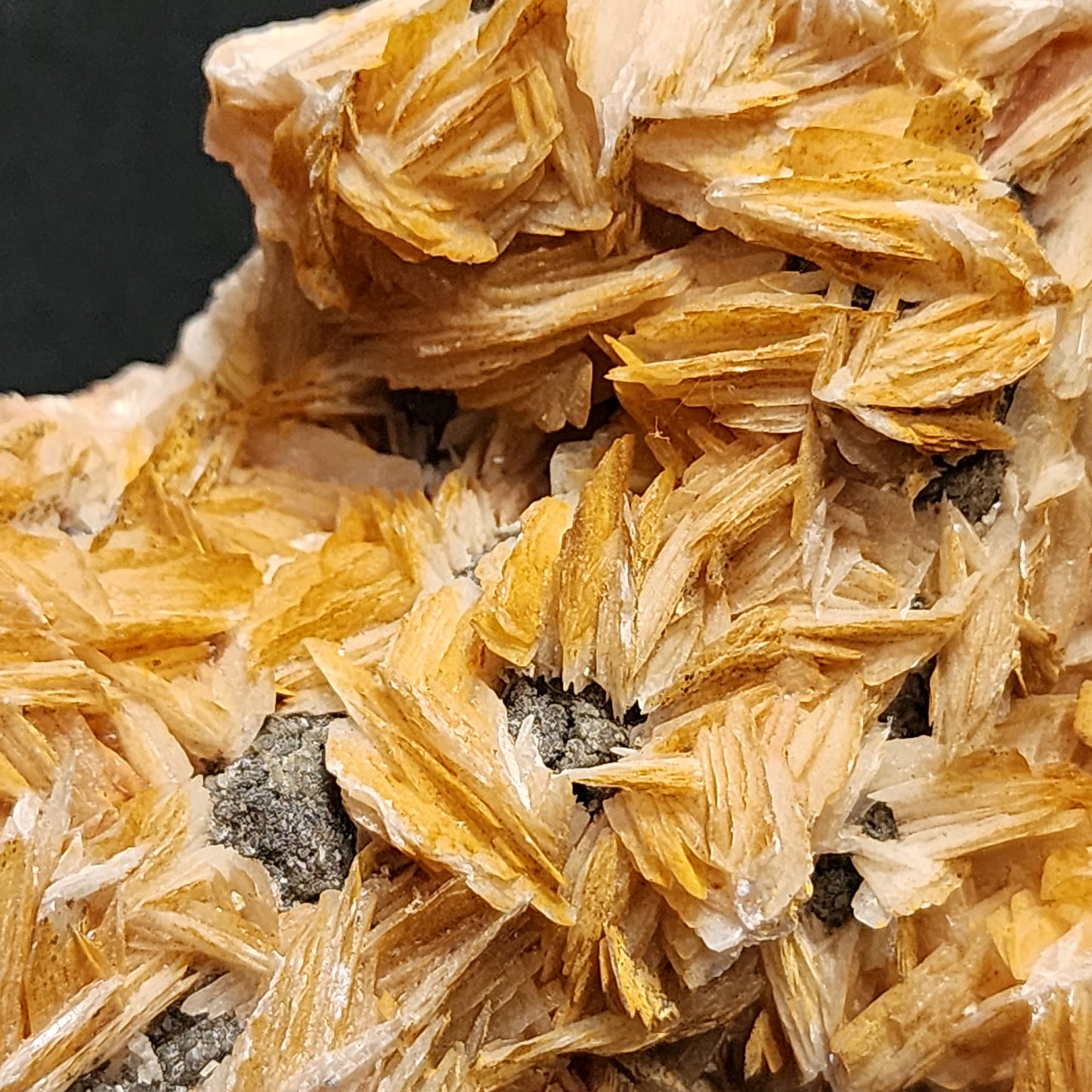 Bladed Barite with Galena