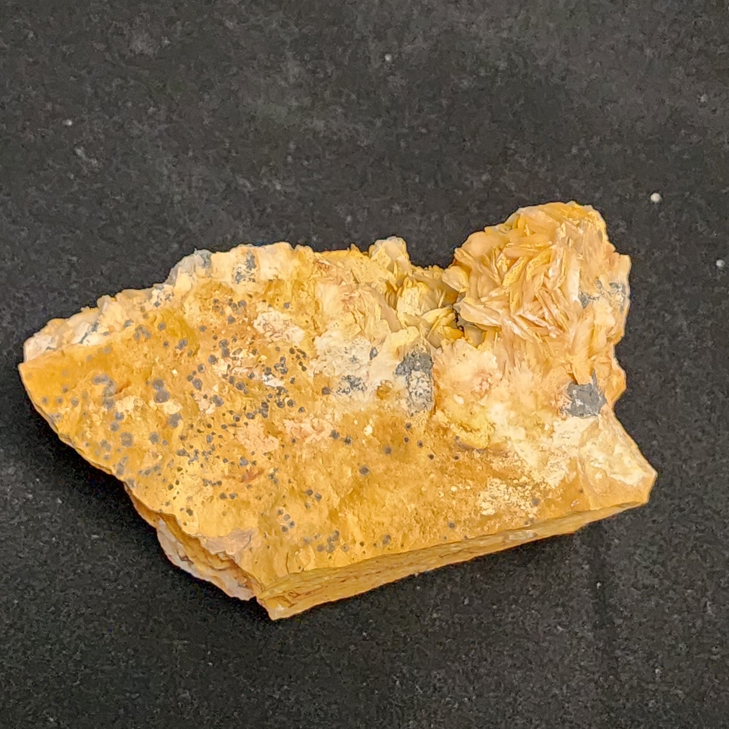 Bladed Barite with Galena
