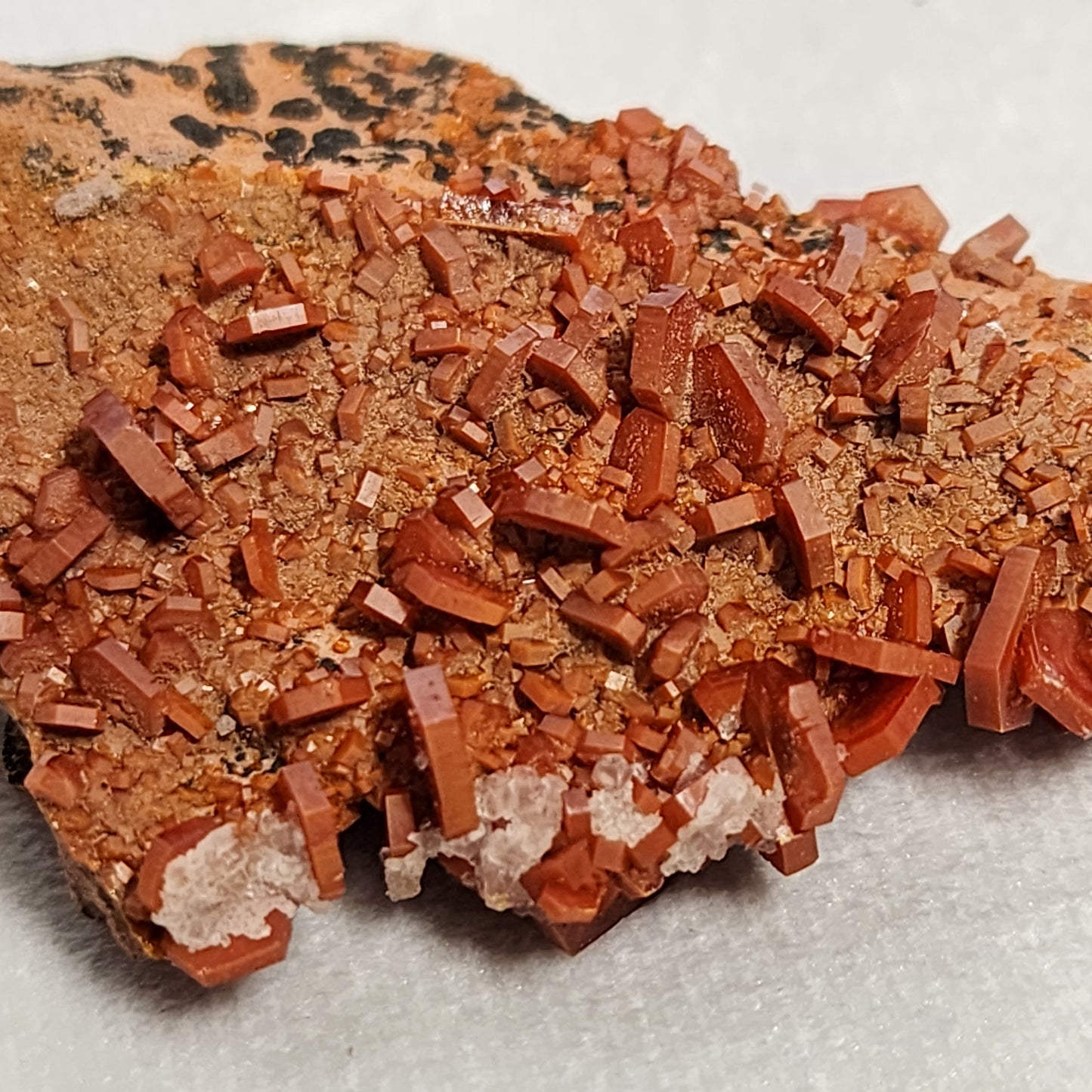 Spectacular Vanadinite Cluster