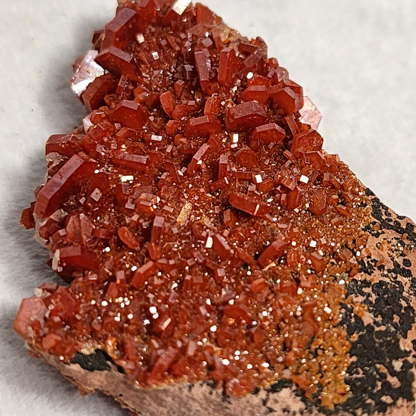 Spectacular Vanadinite Cluster