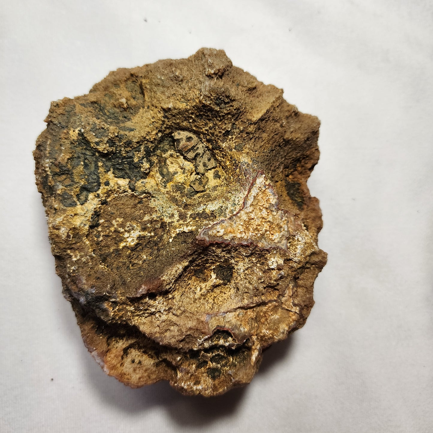 Beautiful Botryoidal Geode