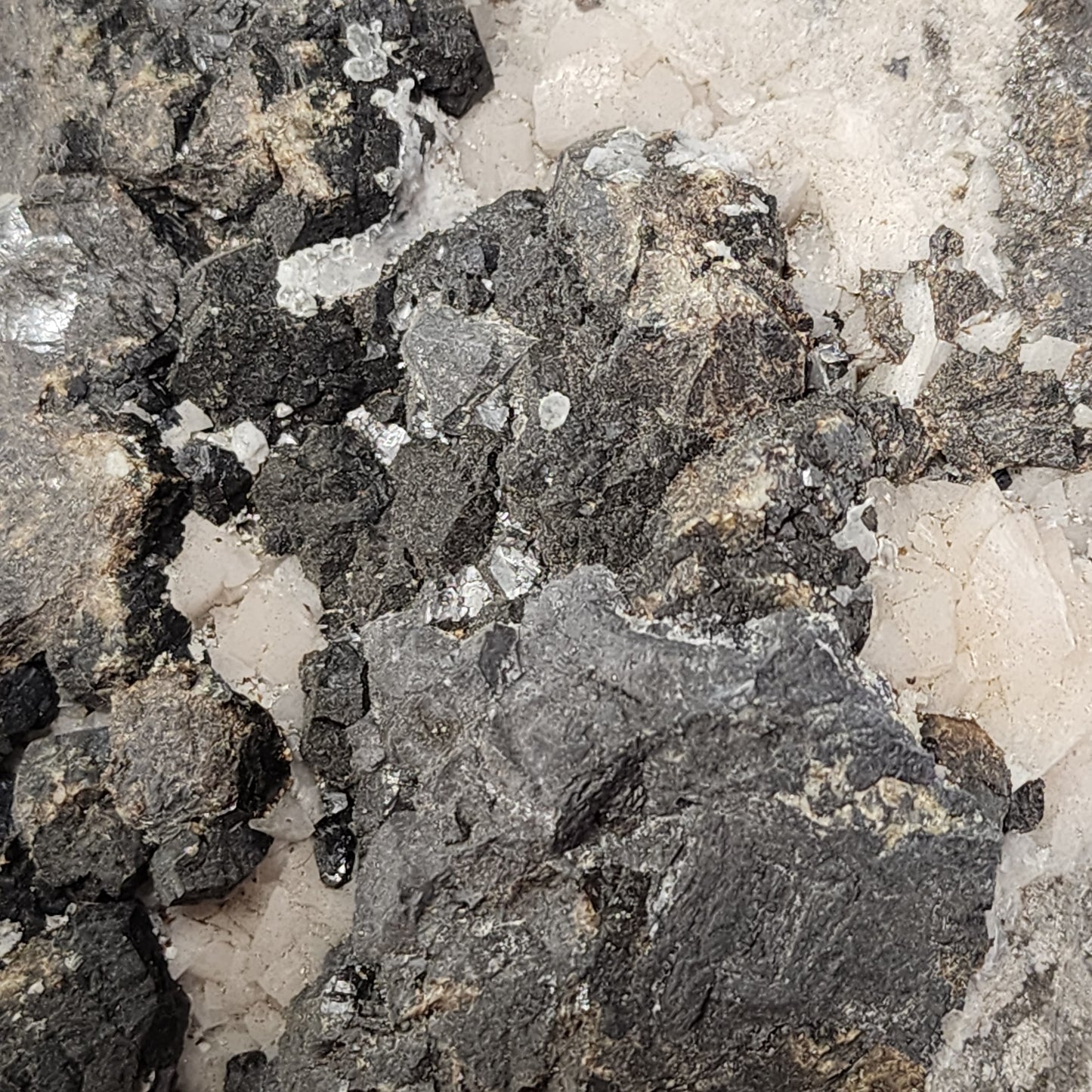 Sparkling Galena and Crystals on Matrix