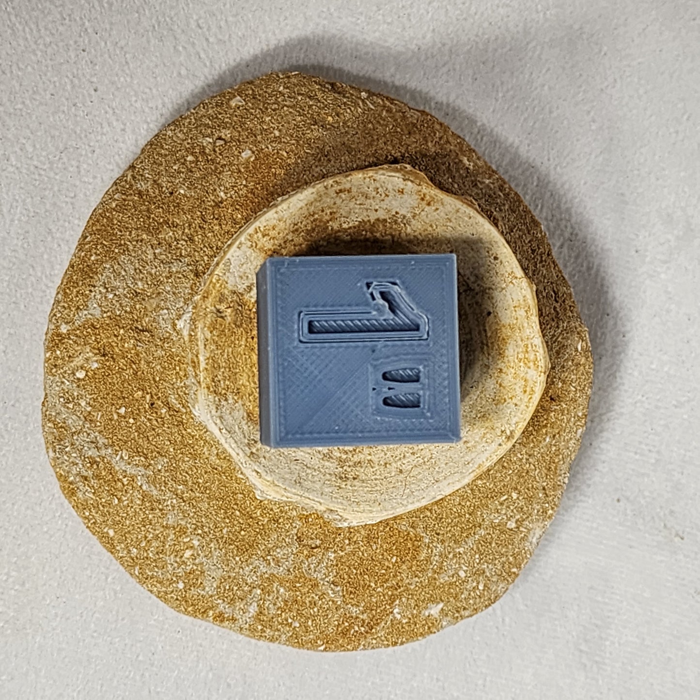 Fossilized Vertebrae from Morocco