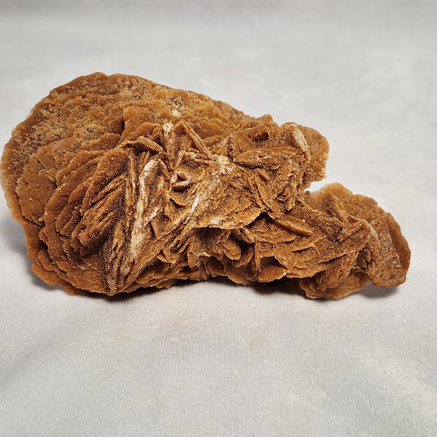 Moroccan Desert Rose