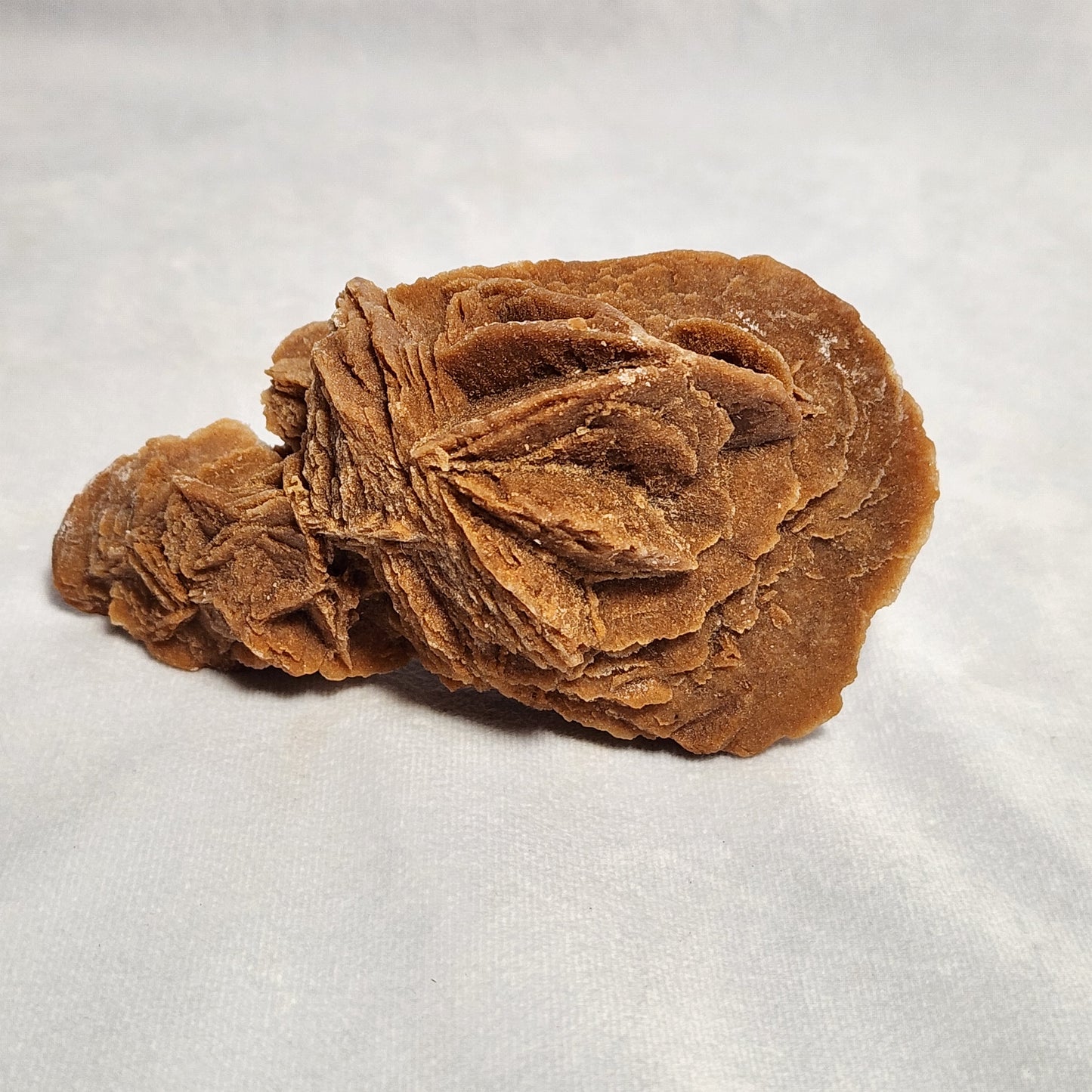 Moroccan Desert Rose