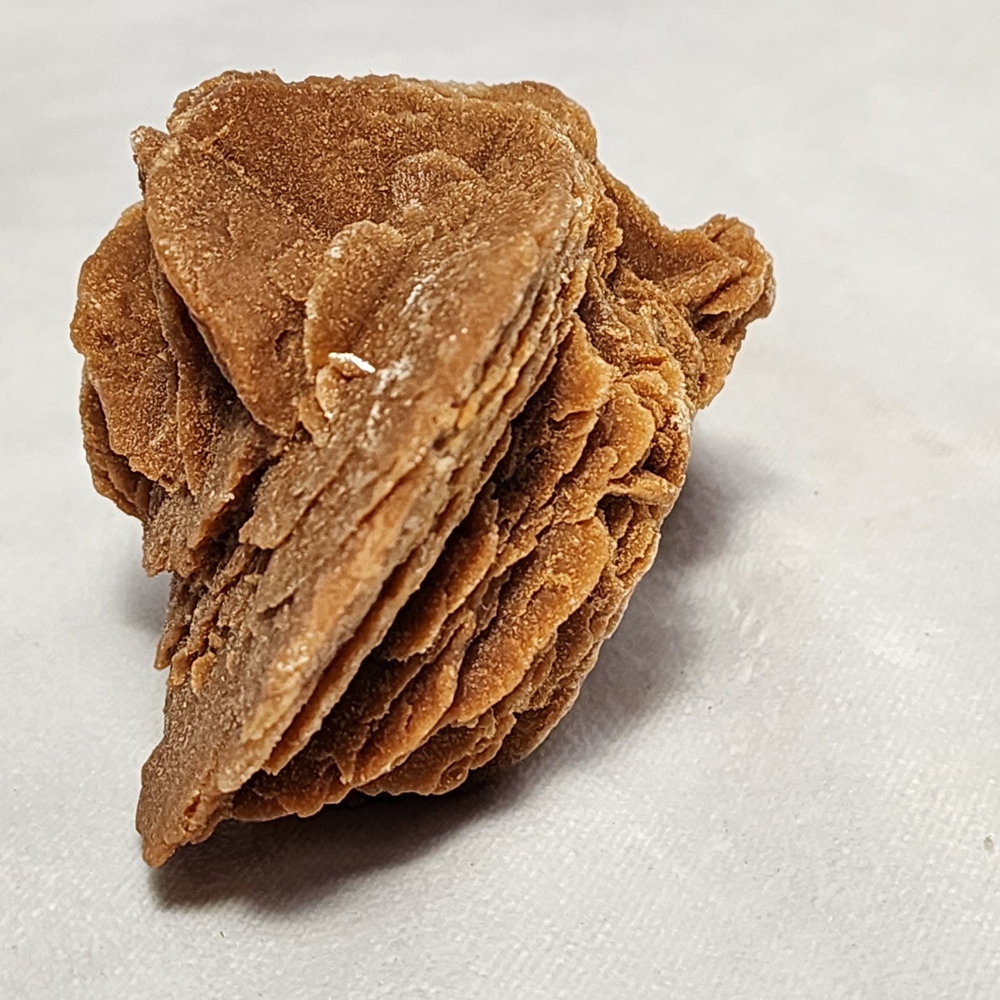 Moroccan Desert Rose