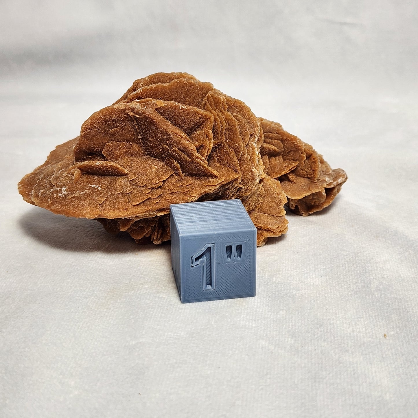 Moroccan Desert Rose