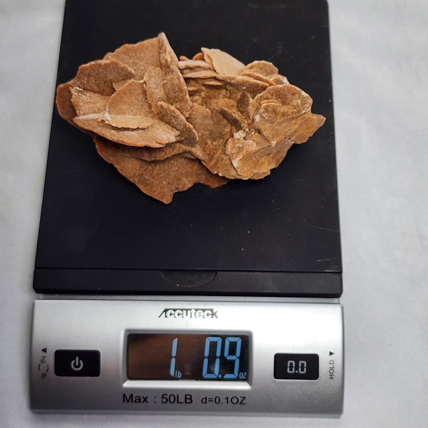 Stunning Desert Rose from Morocco