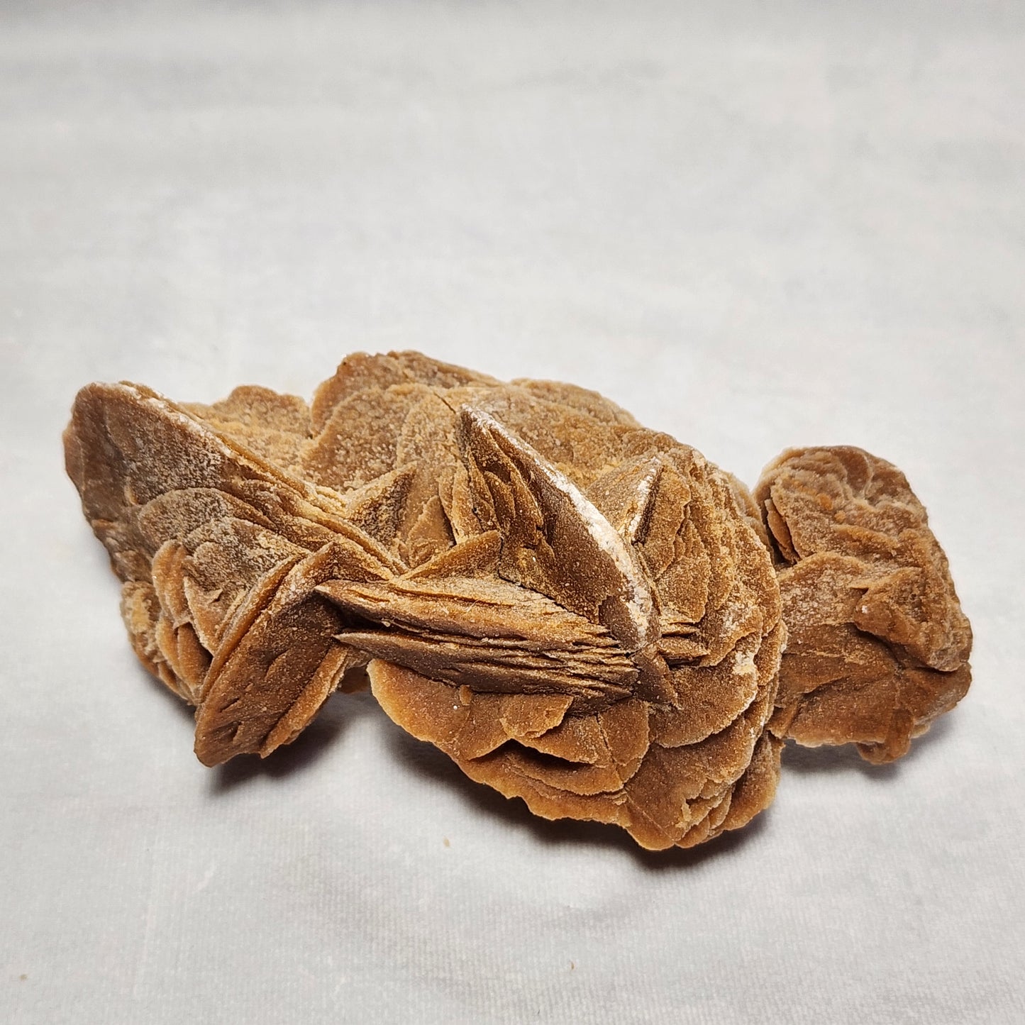 Bladed Desert Crystal