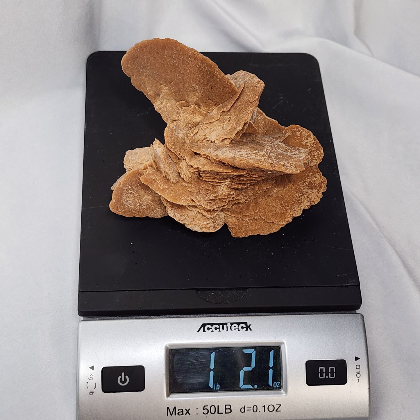 Large Bladed Desert Rose with Selenite