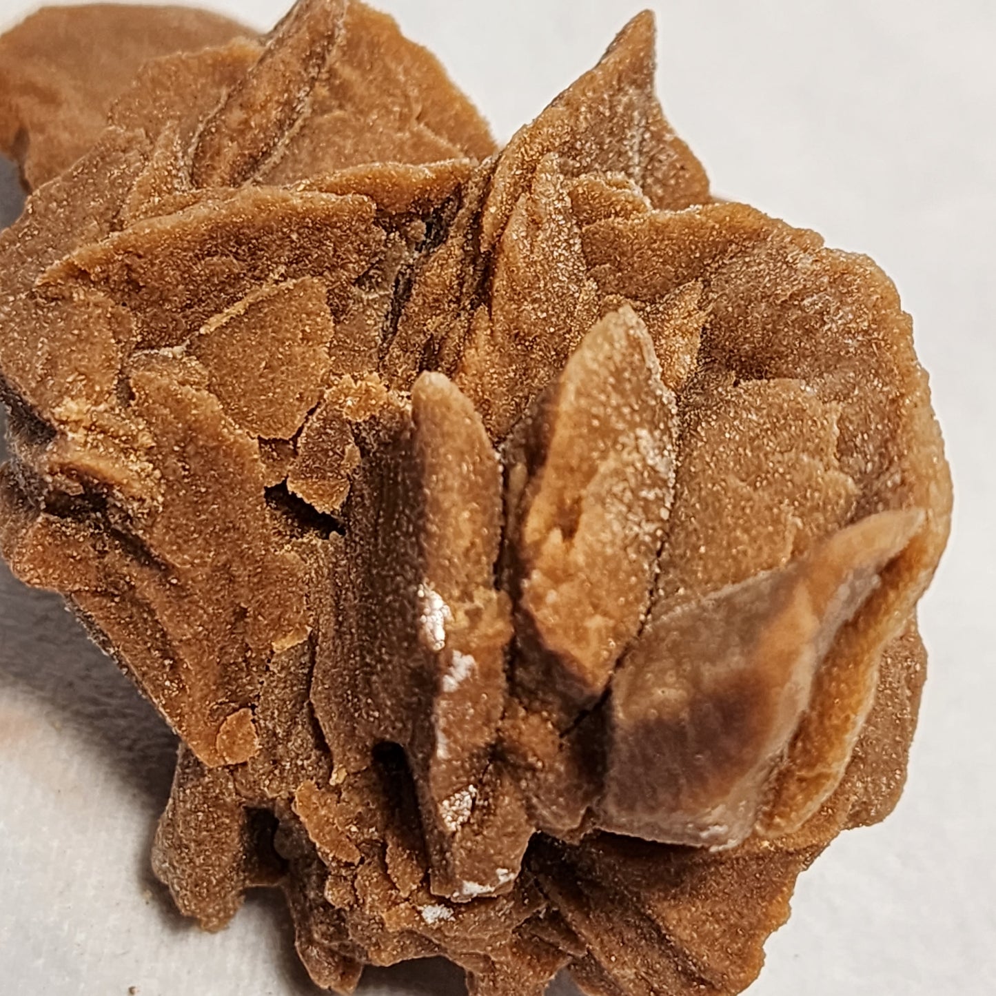 Long Desert Rose Crystal