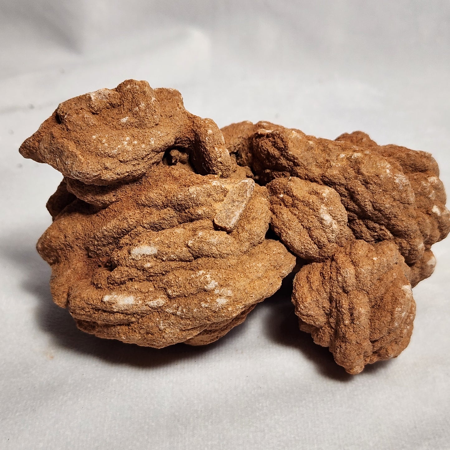 The Oklahoma Rose Rock
