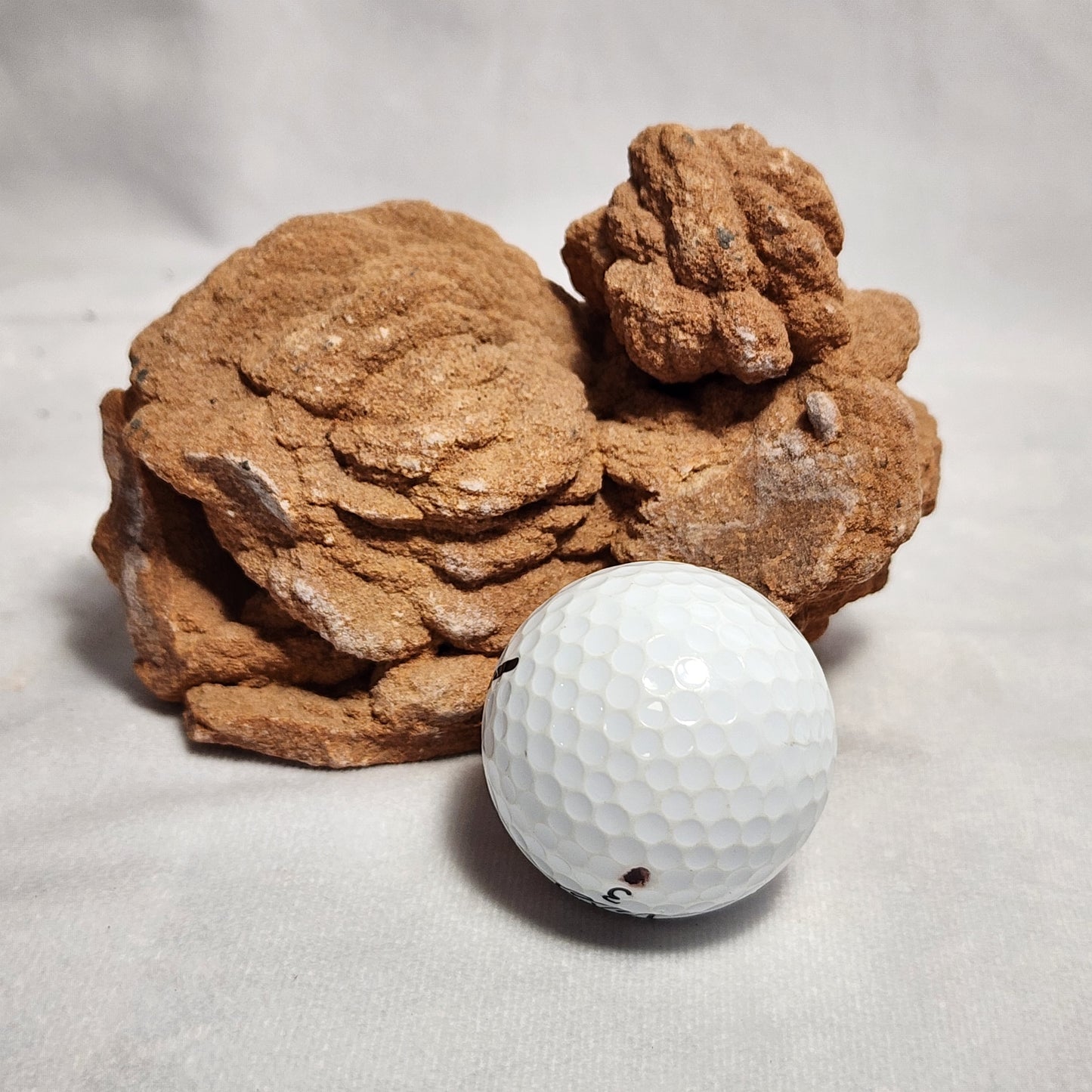 The Oklahoma Rose Rock