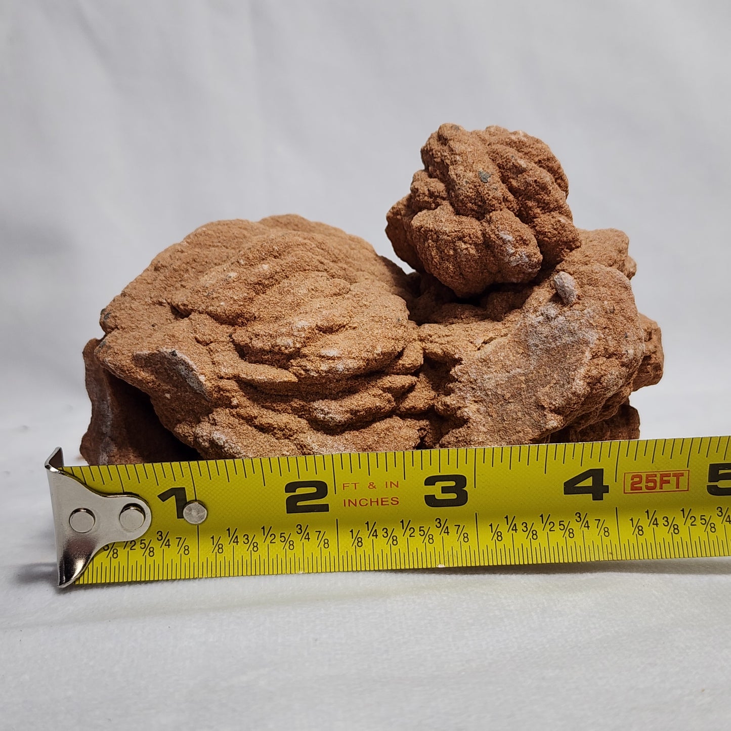 The Oklahoma Rose Rock