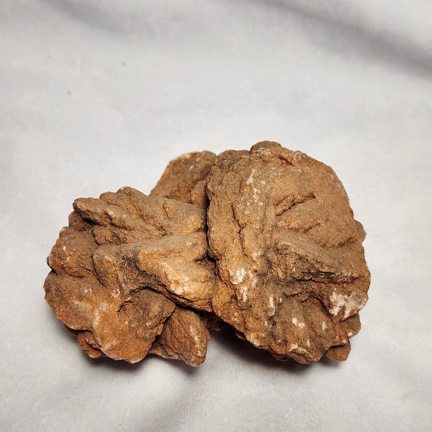 Large Oklahoma Rose Rock Cluster