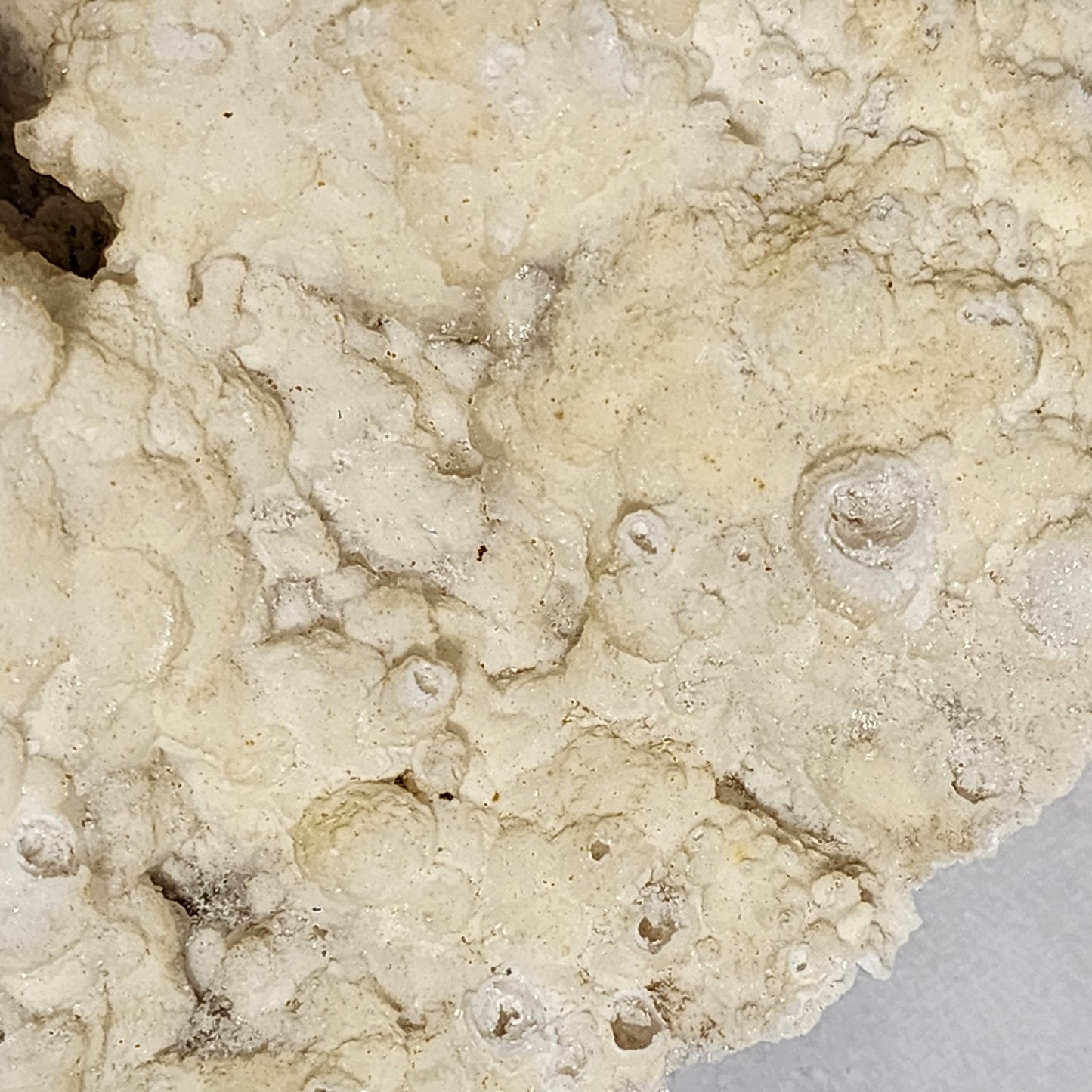 Cave Cluster from Morocco