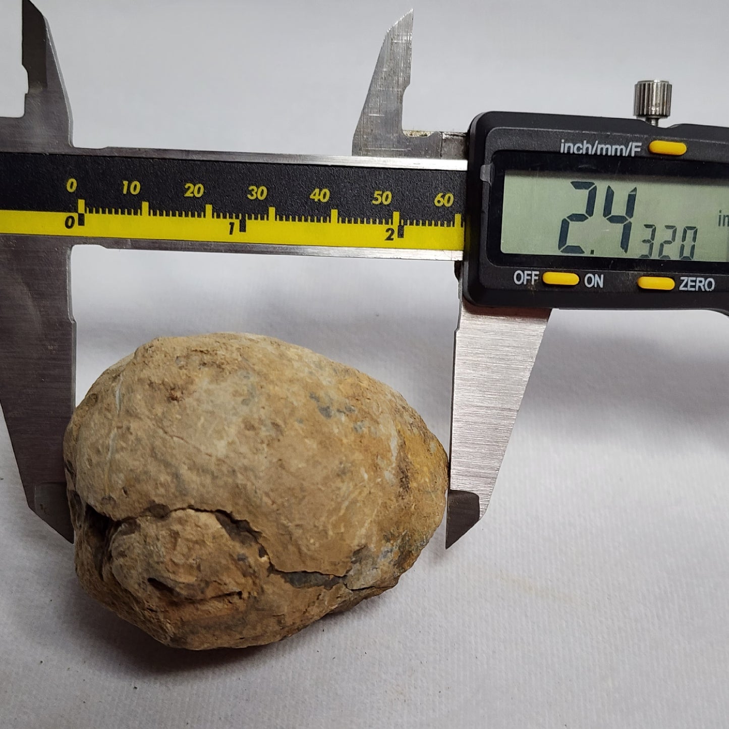 2.4" Flexicalymene Trilobite in Nodule