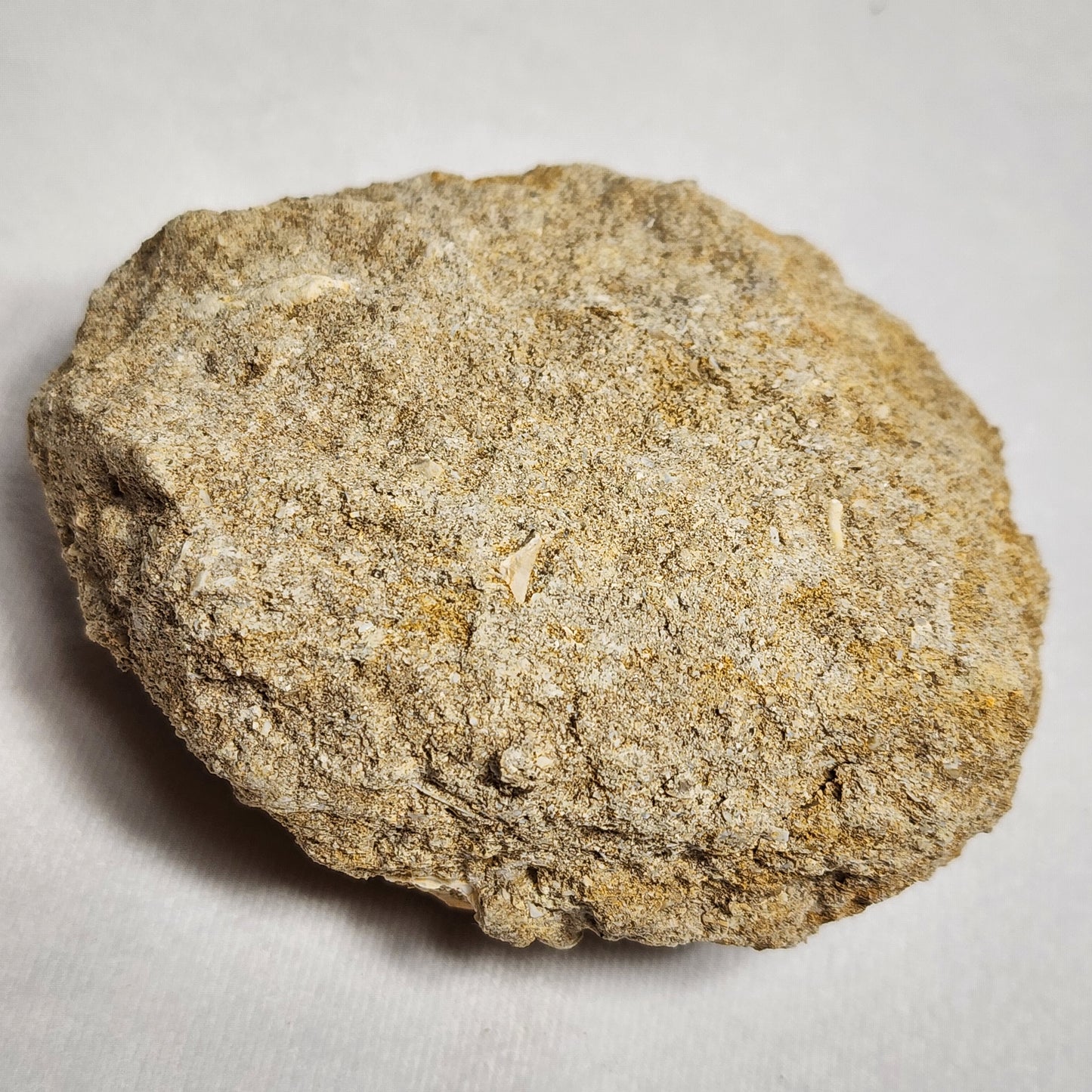 Fantastic Fossil Crusher Plate