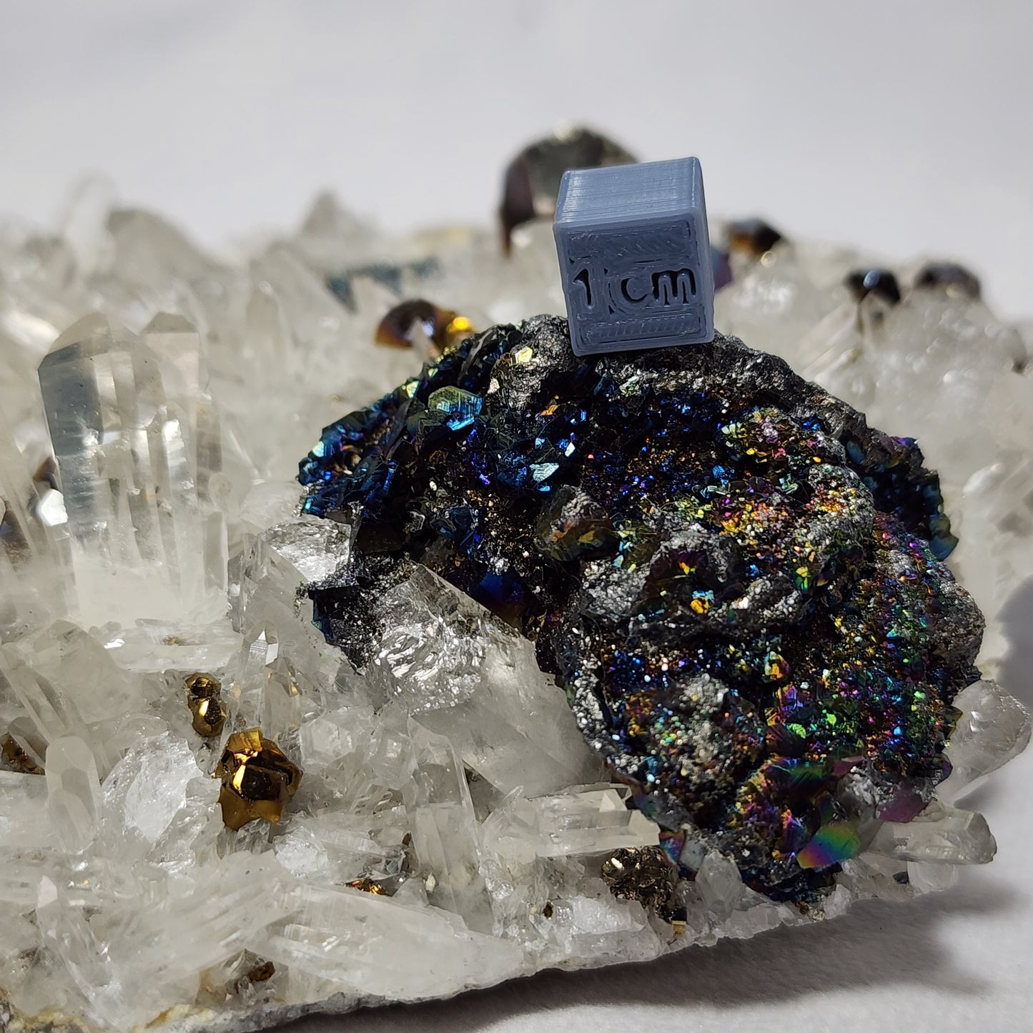 Majestical Pyrite on Quartz