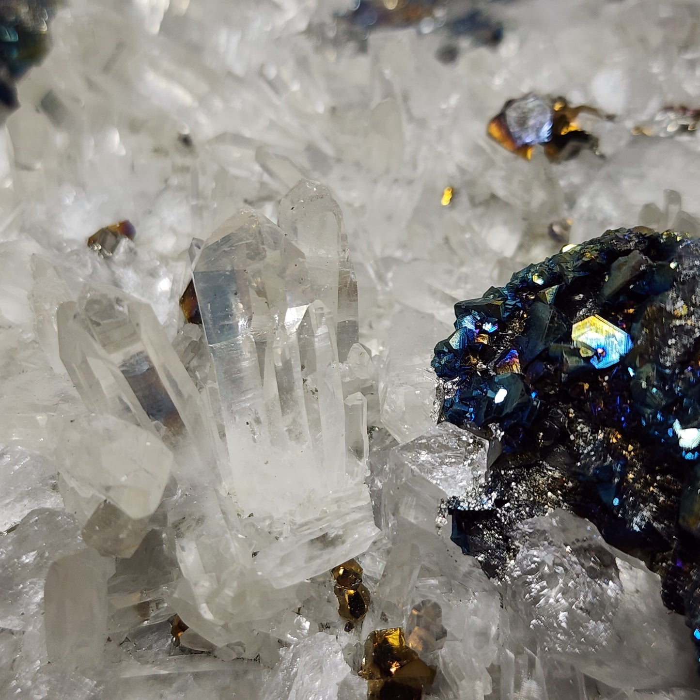 Majestical Pyrite on Quartz