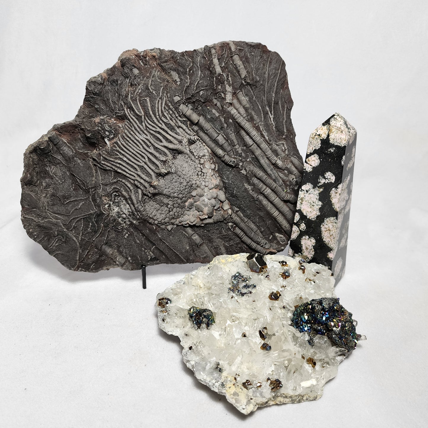 Majestical Pyrite on Quartz