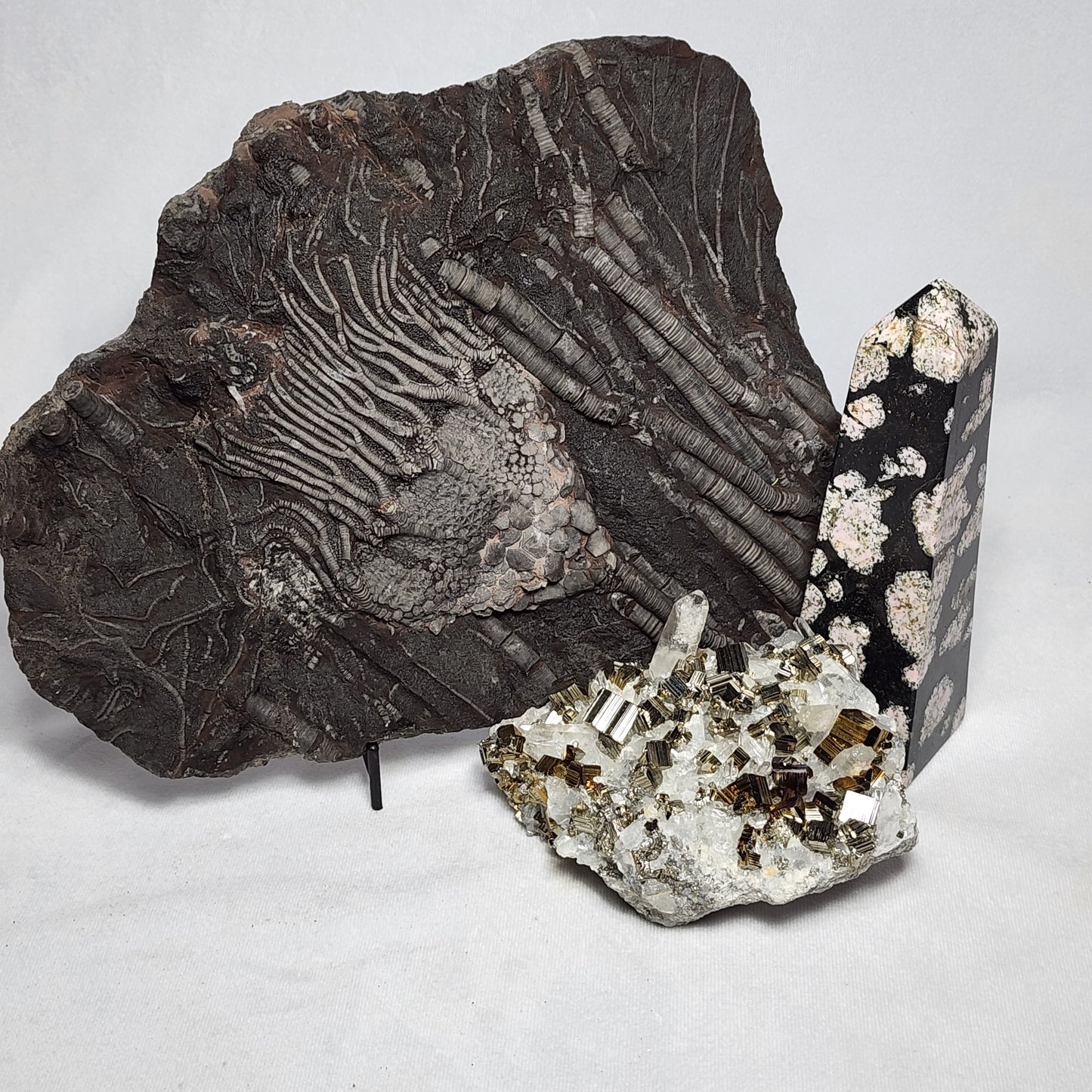 Captivating Cubed Pyrite on Quartz