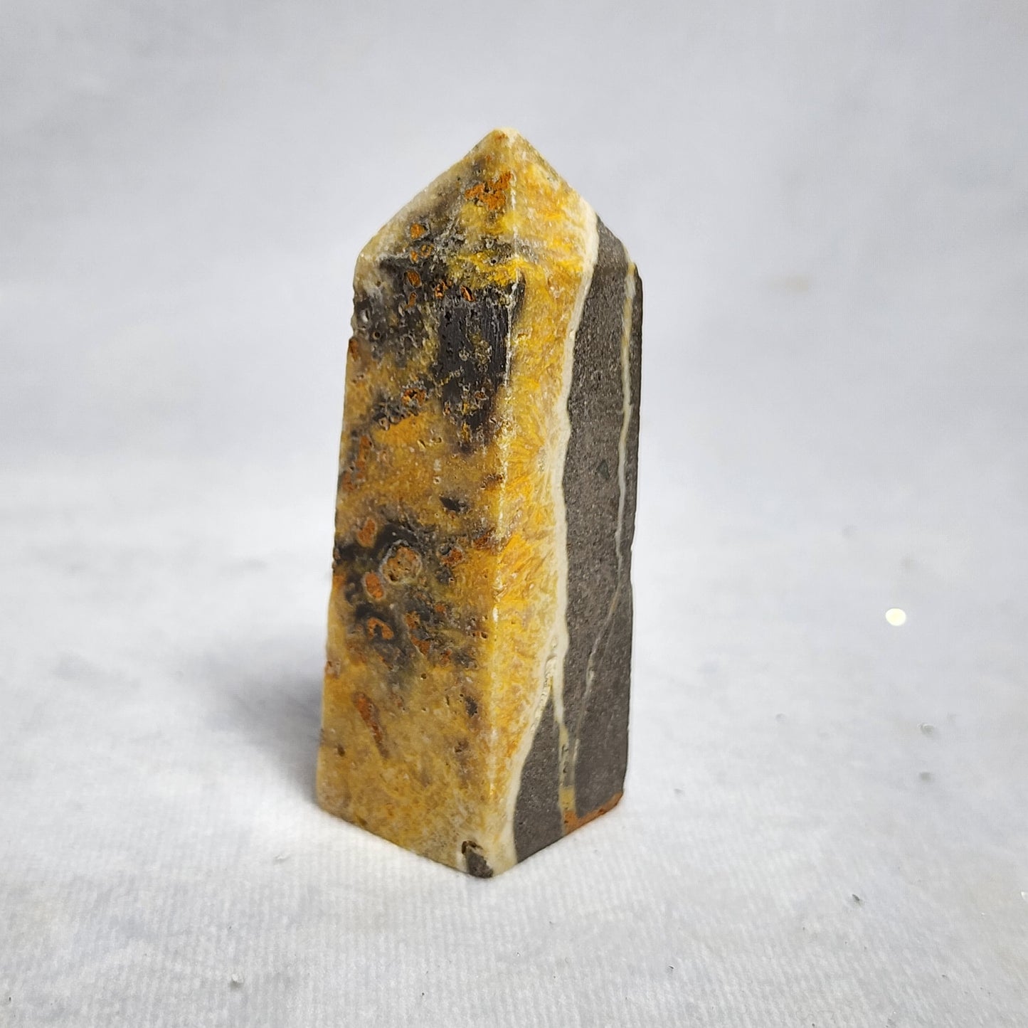 Bumblebee Jasper
