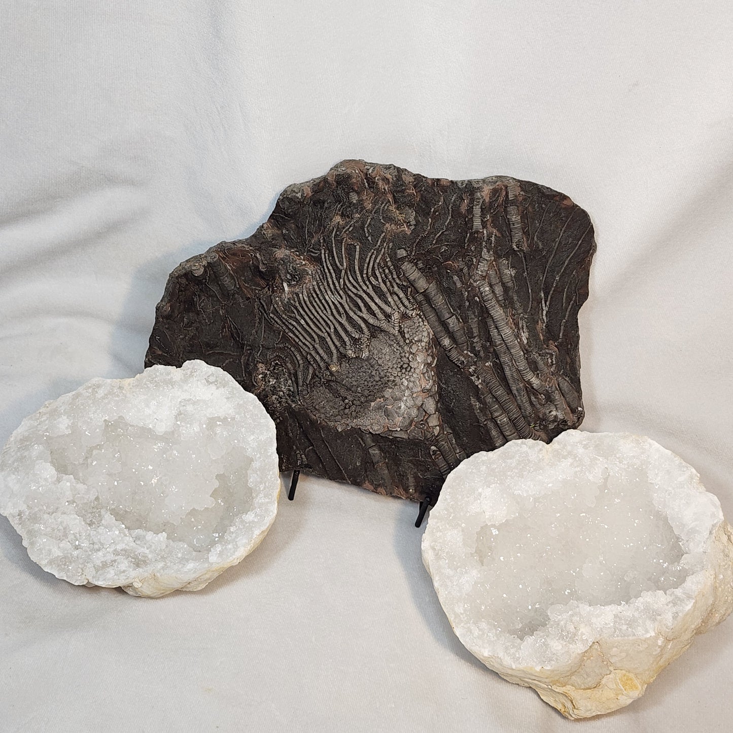 Sparkling Beauty Moroccan Geode Pair