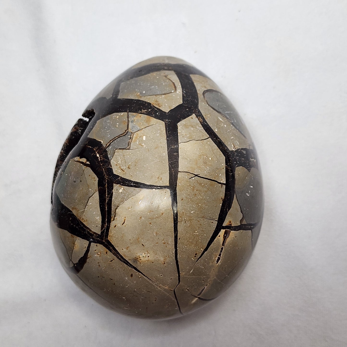 Hand-Carved Septarian Egg