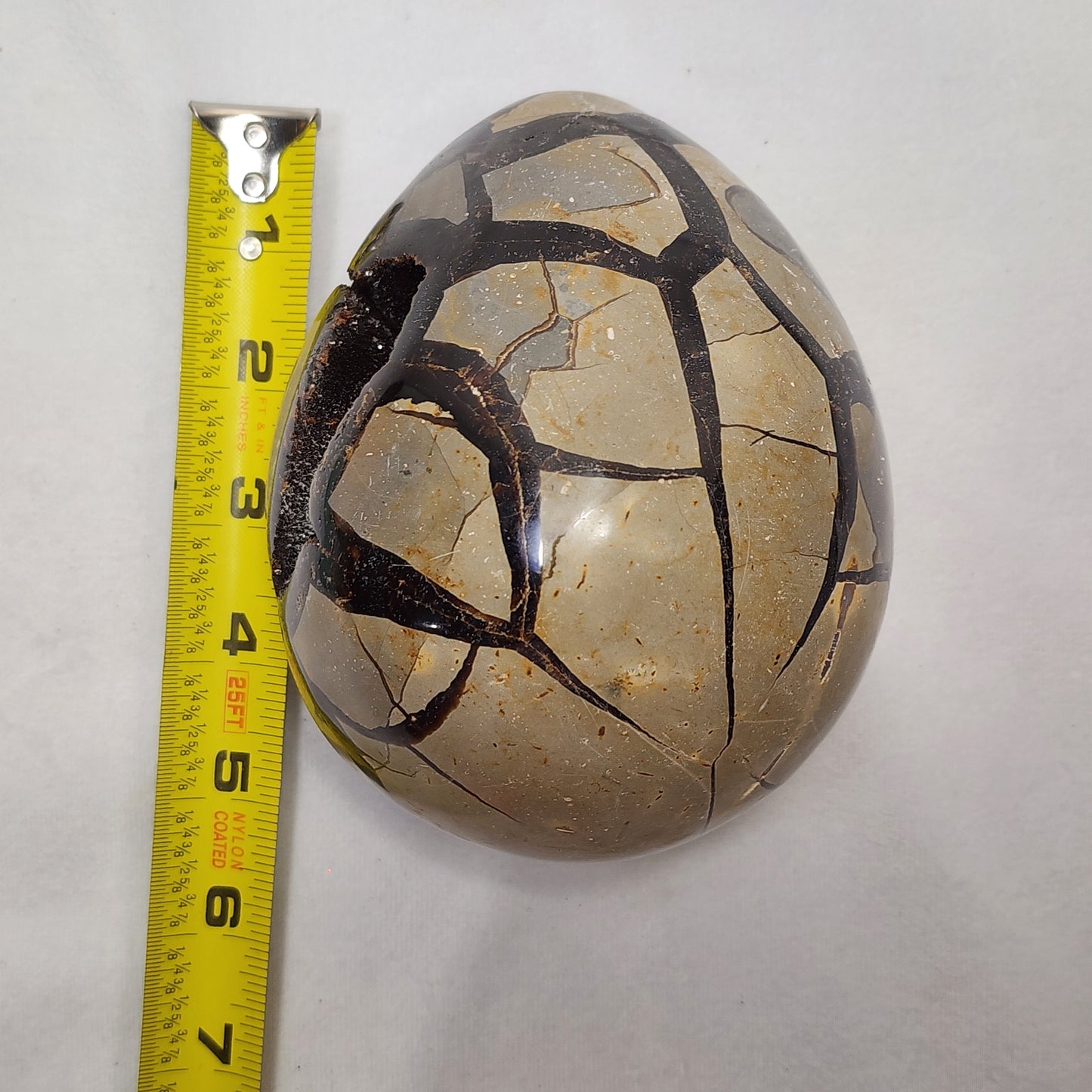 Hand-Carved Septarian Egg