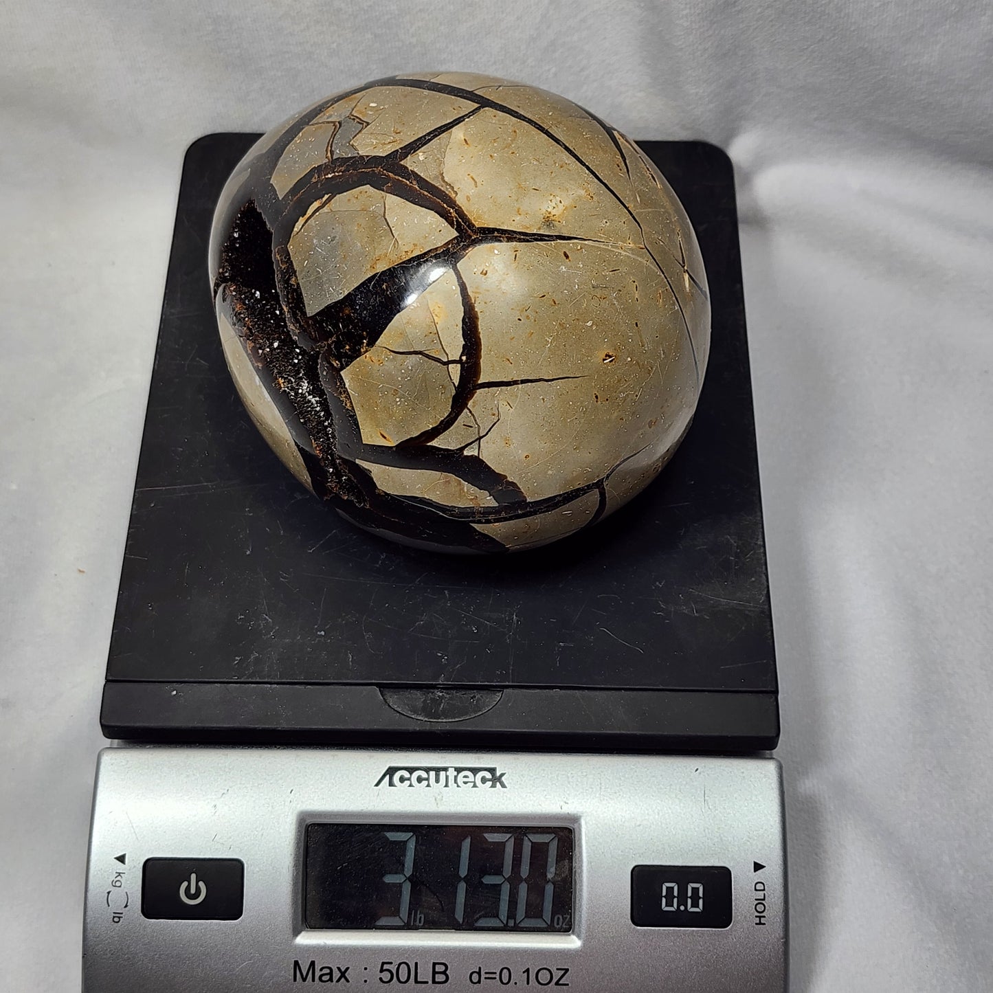 Hand-Carved Septarian Egg