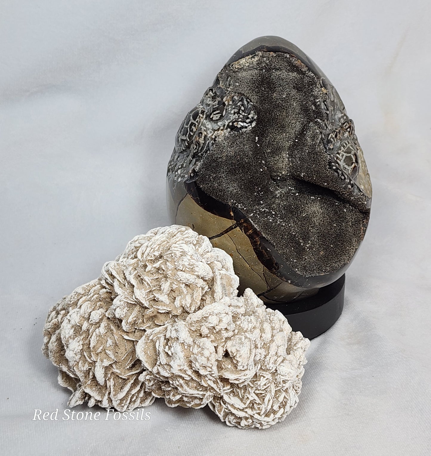 Septarian Egg with two Hand Carved Turtles