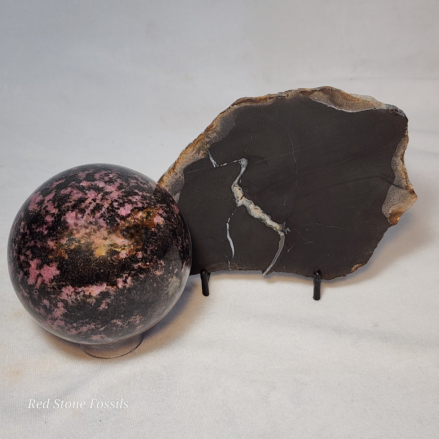 Pretty Petrified Wood Slice